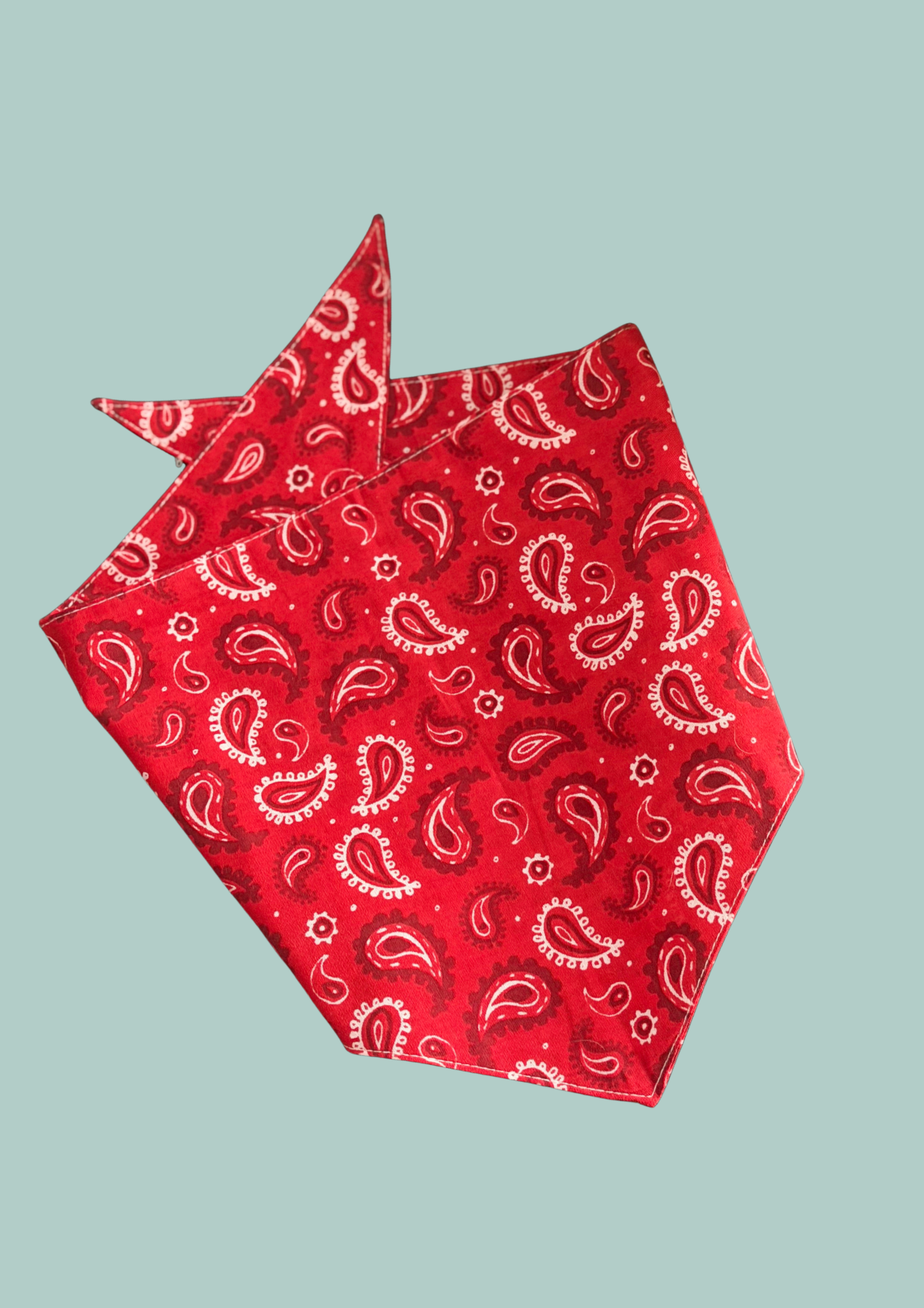 Bandana "Little Cowboy"