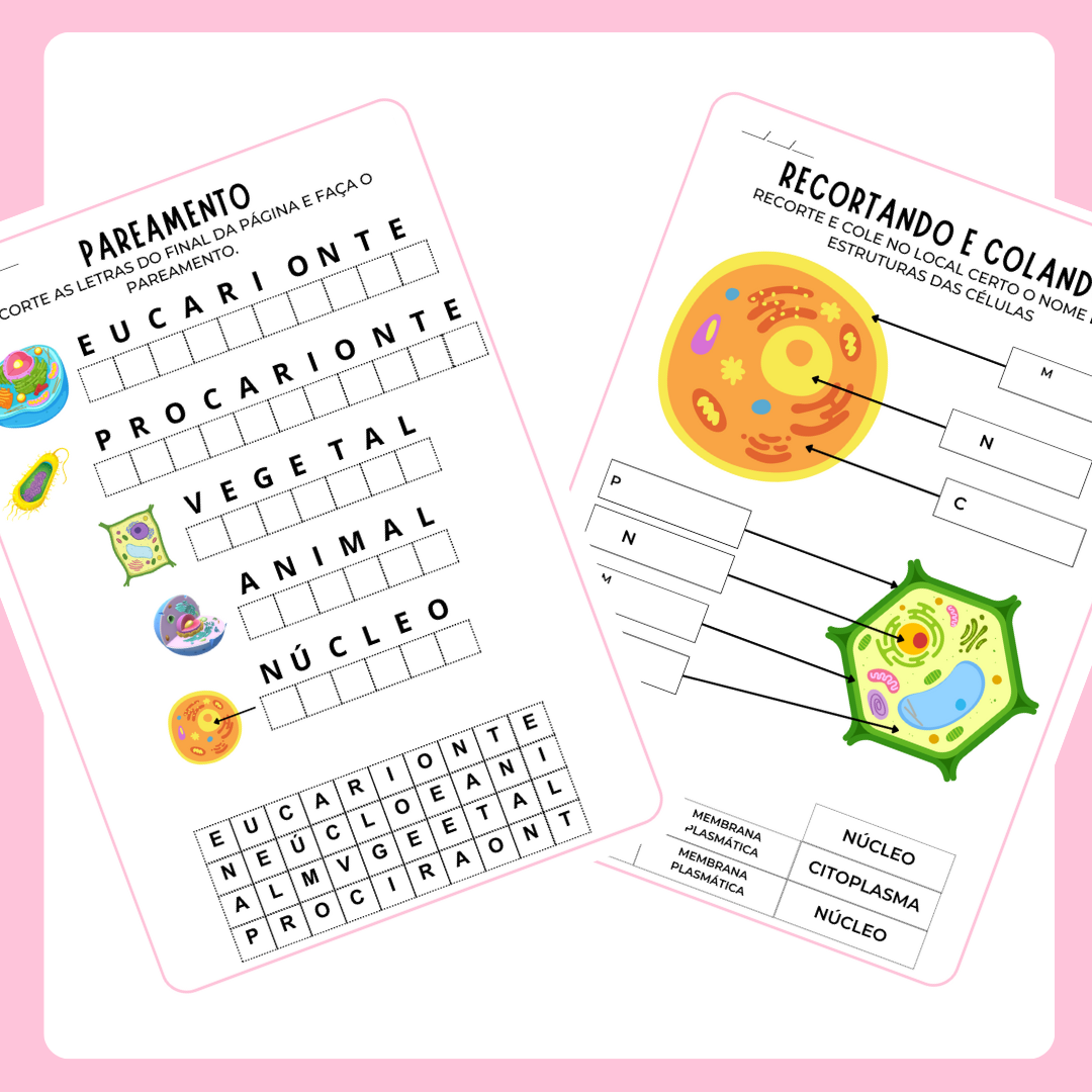 Citologia básica (Pré-silábicos)