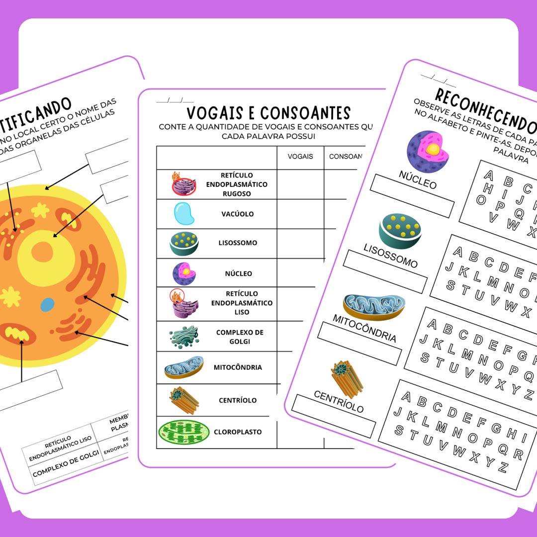 Organelas Citoplasmáticas (Pré-silábicos)