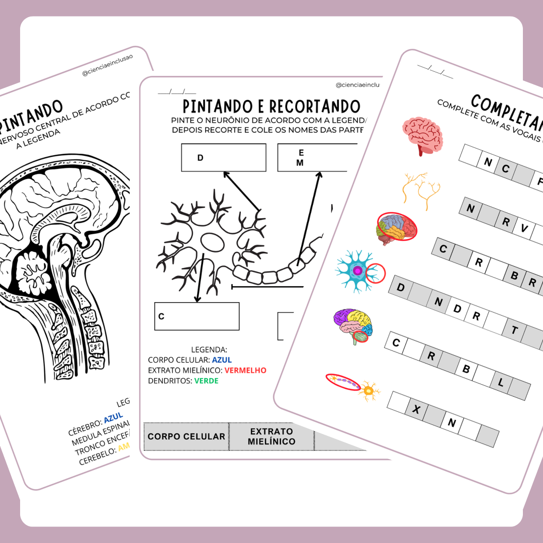 Sistema Nervoso (Pré-silábicos)