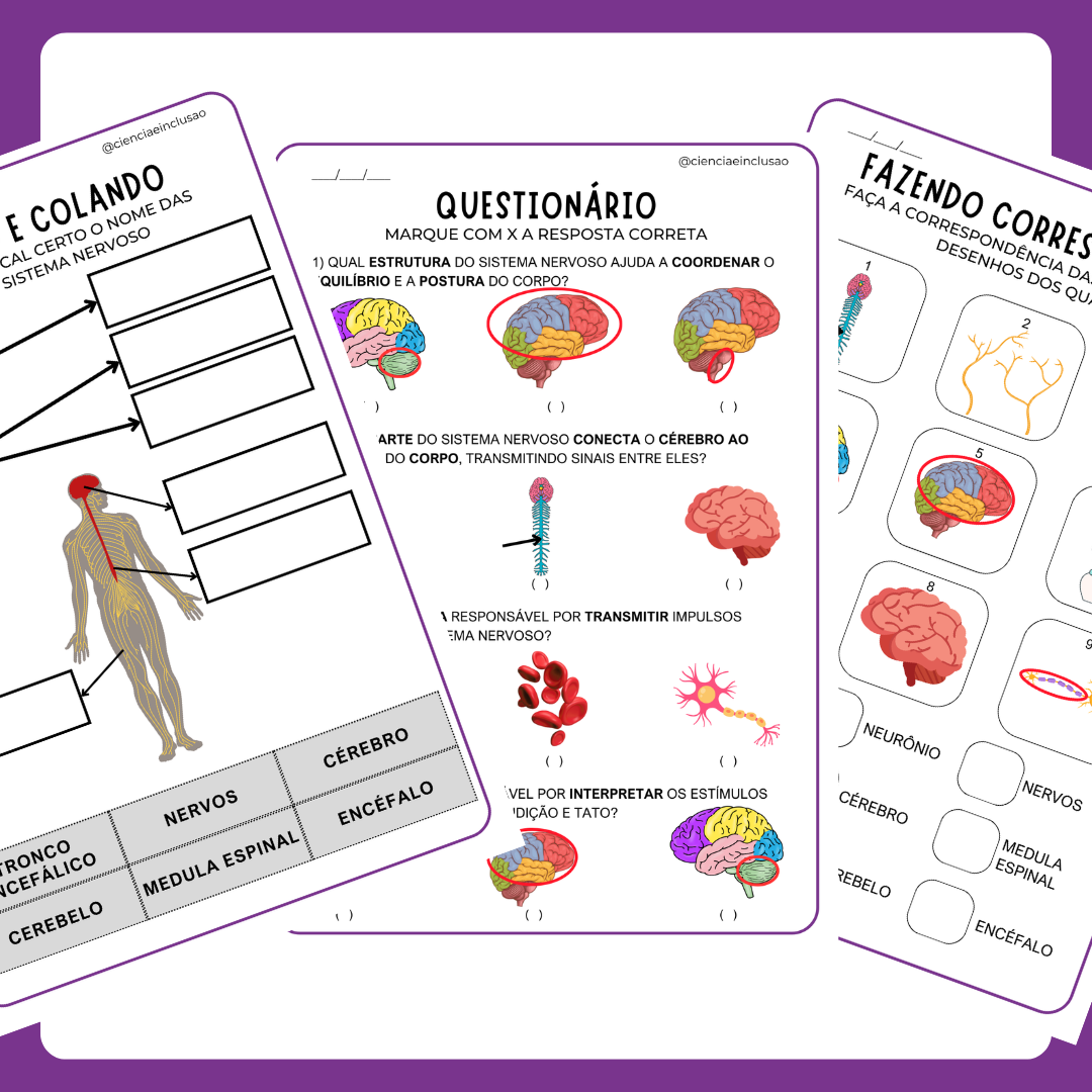 Sistema Nervoso (Silábicos)