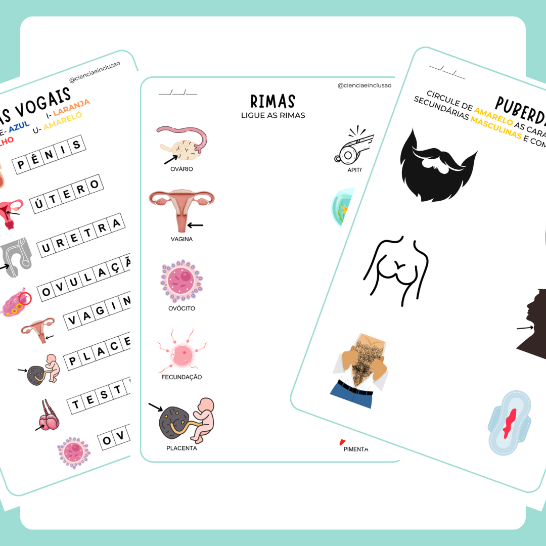 Puberdade e Reprodução Humana (Pré-silábicos)