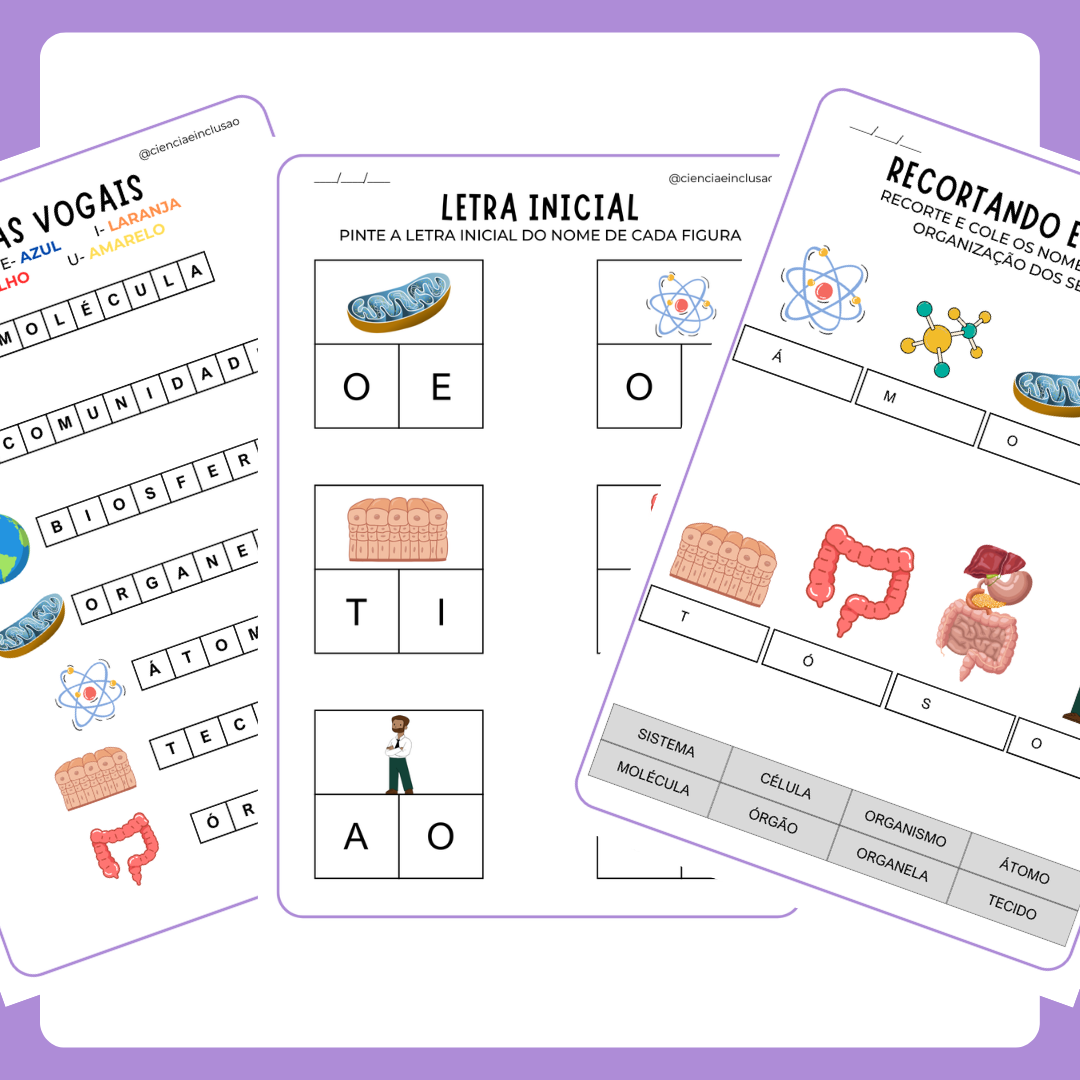 Níveis de Organização dos Seres Vivos (Pré-silábicos)