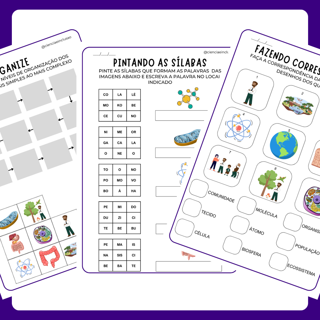 Níveis de Organização dos Seres Vivos (Silábicos)