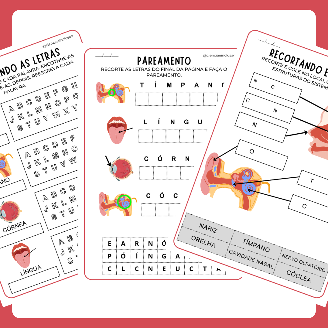 Sistema Sensorial (Pré-silábicos)