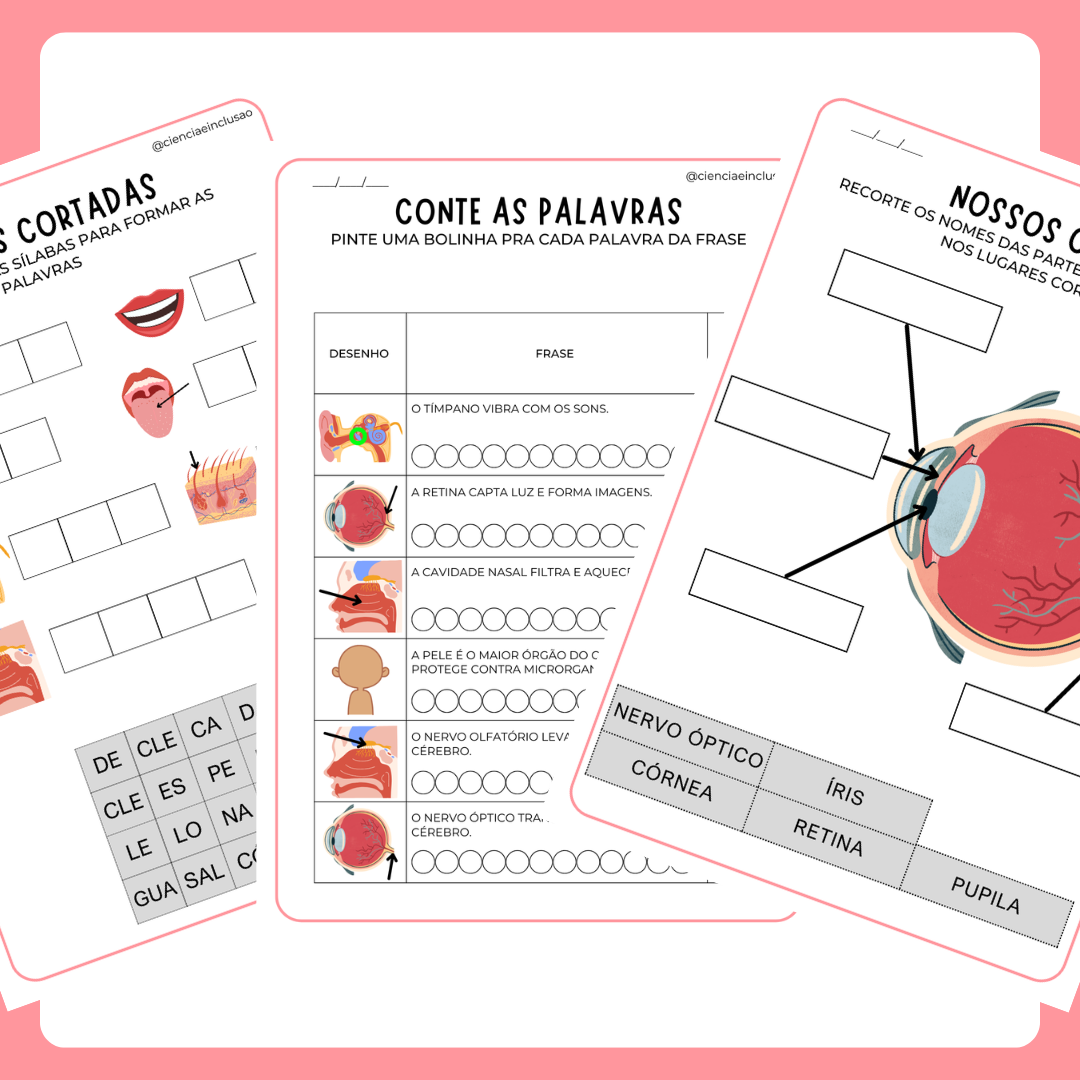 Sistema Sensorial (Silábicos)