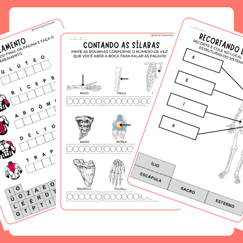 Sistema Locomotor (Pré-silábicos)
