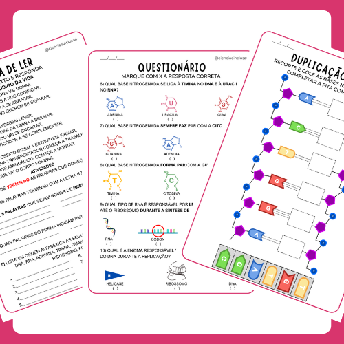 Ácidos Nucleicos (Silábicos)