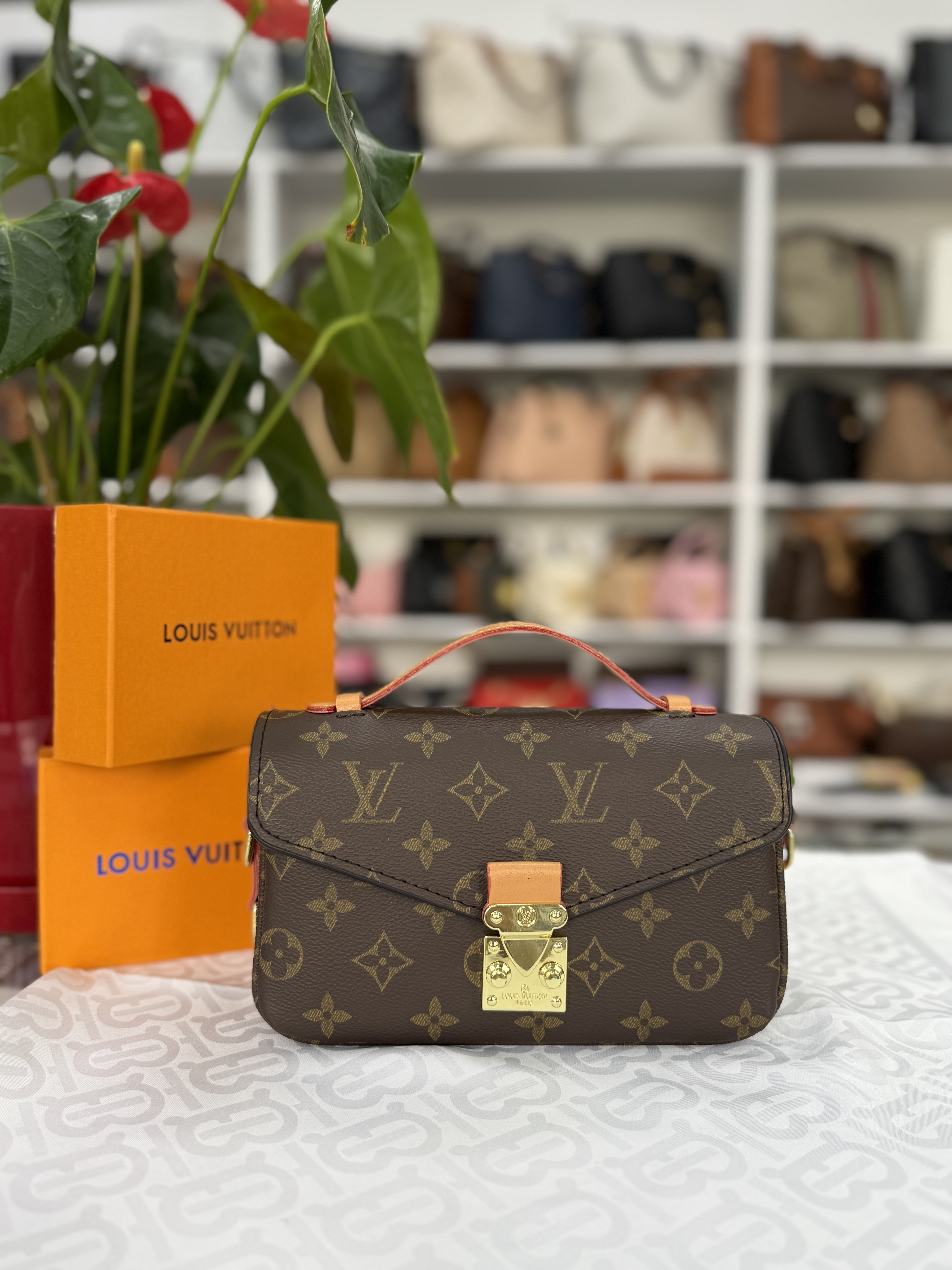 Louis Vuitton Handbag