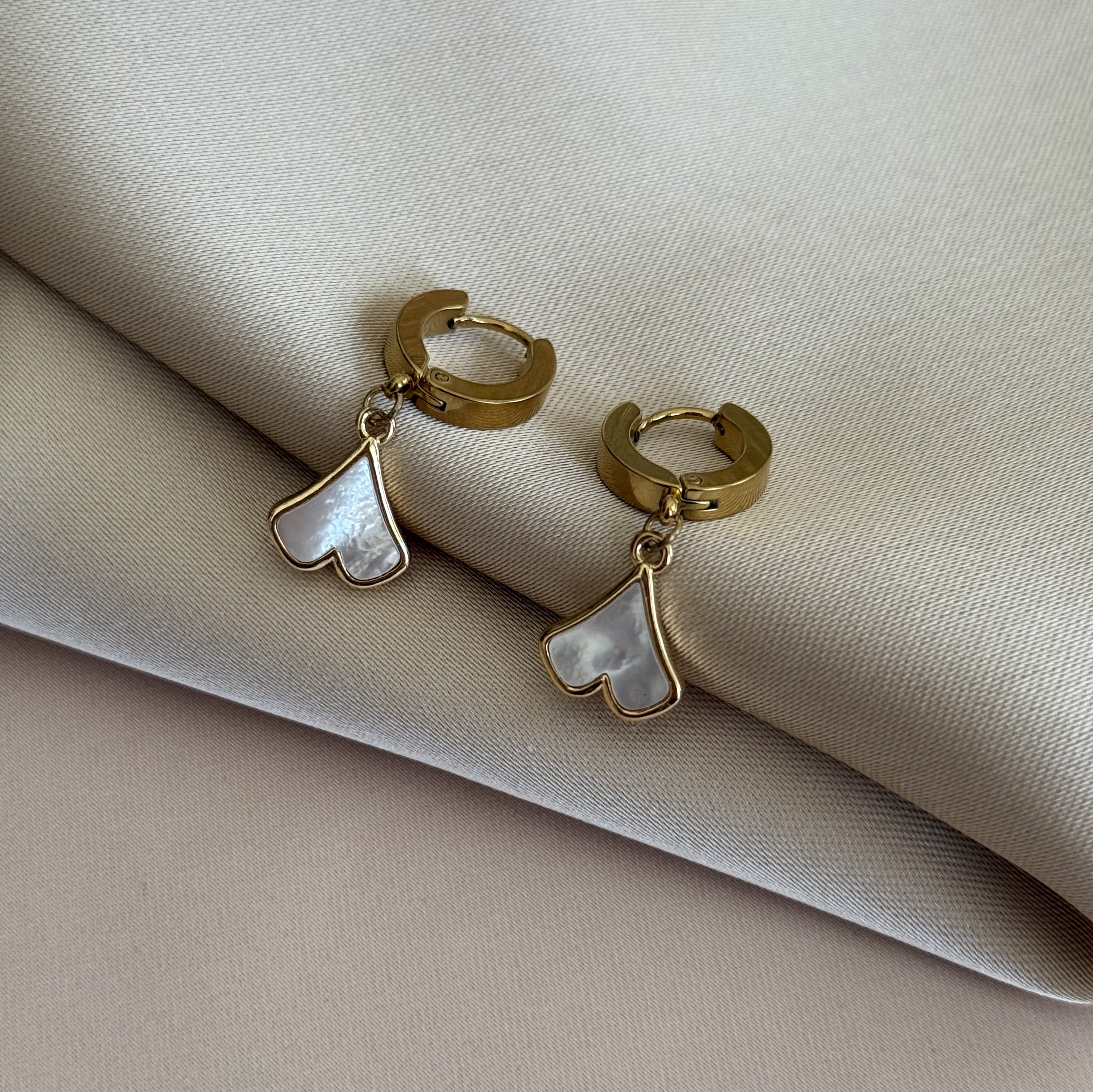 Stainless Steel Earrings