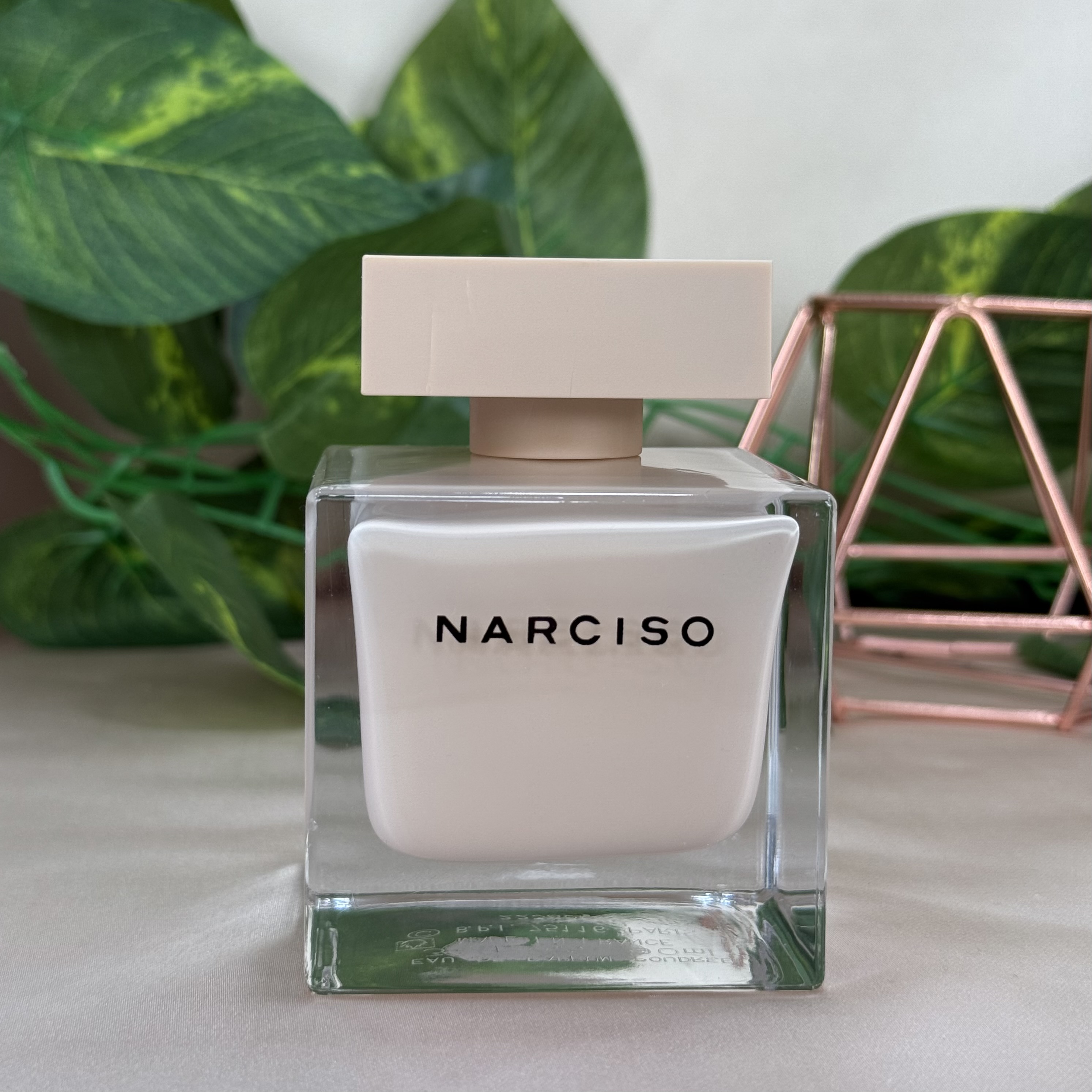 Narciso