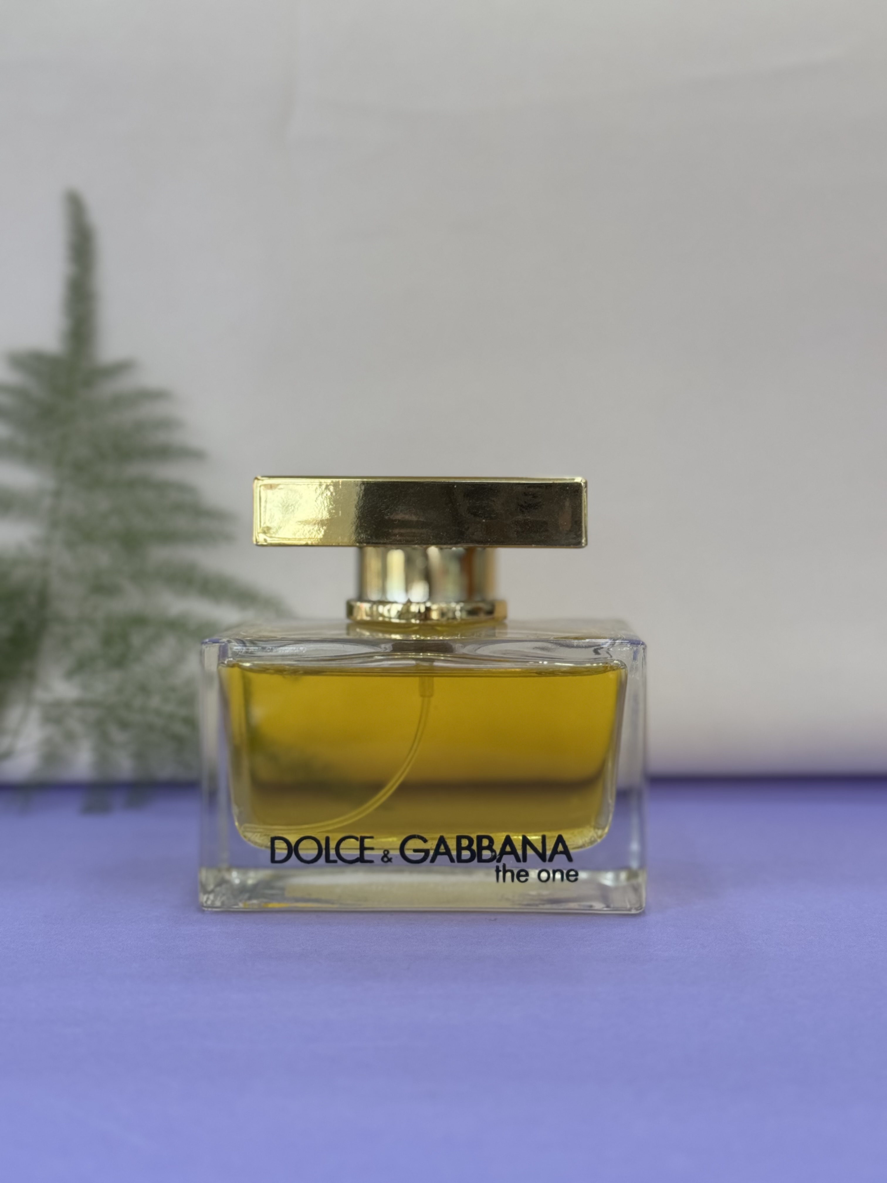 Dolce & Gabbana The One for Women