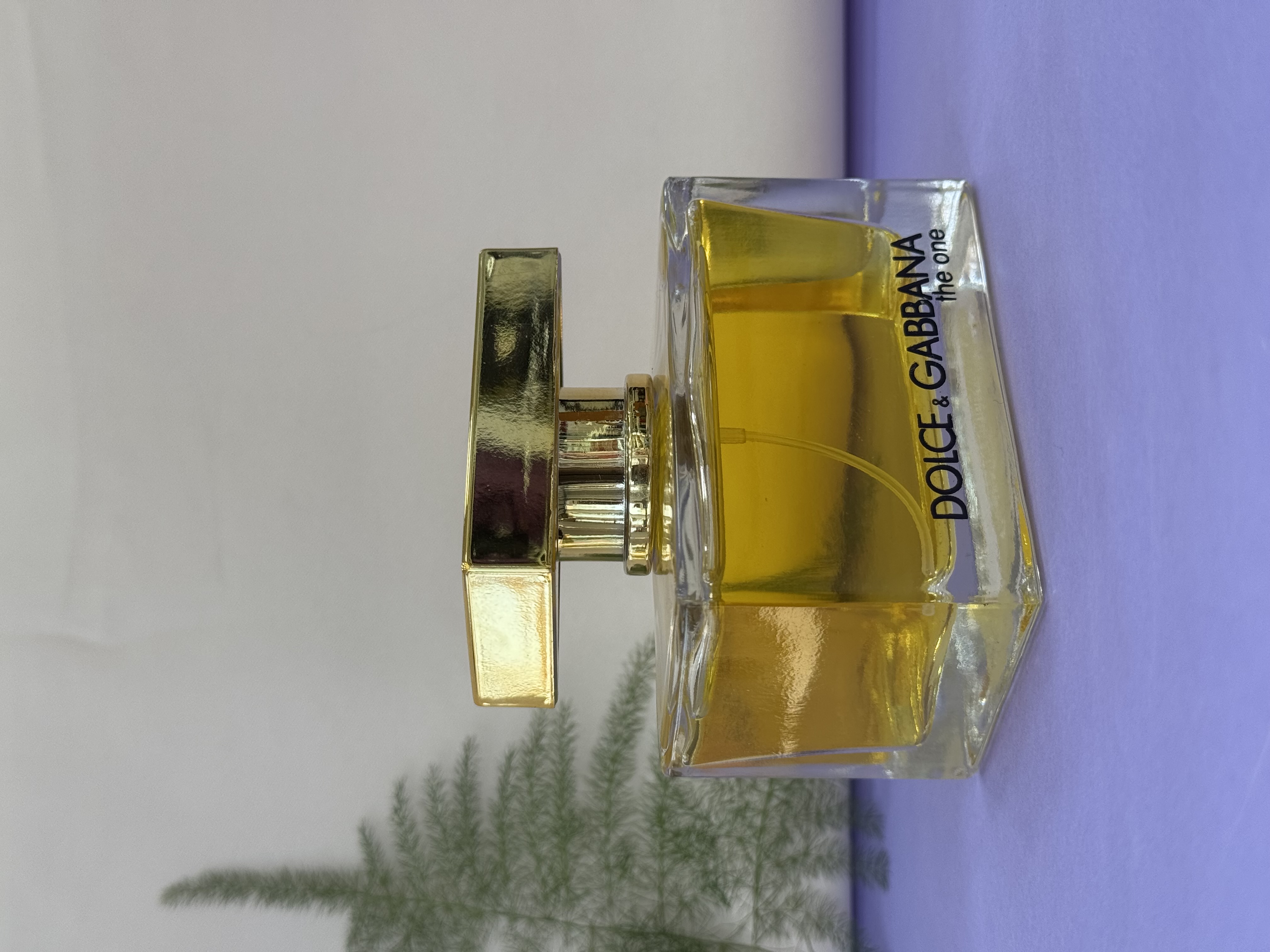Dolce & Gabbana The One for Women 