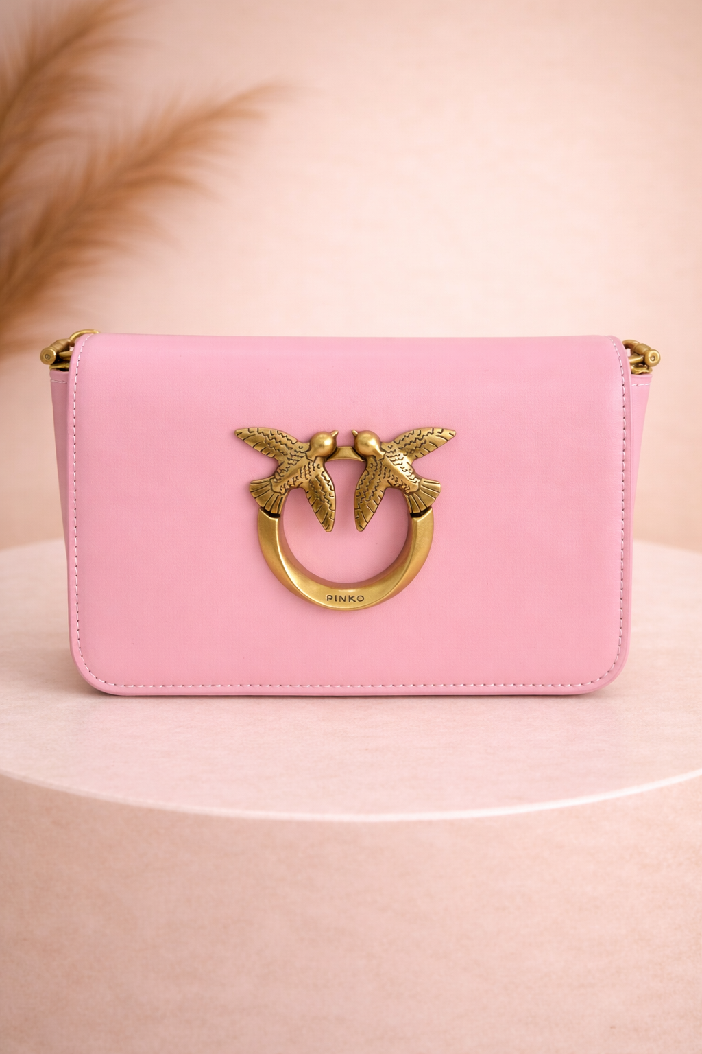 Pinko Bag