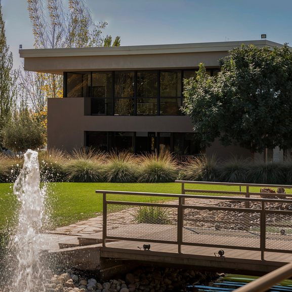 Bodega de Vinhos em Mendoza!