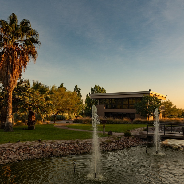 Bodega de Vinhos em Mendoza!