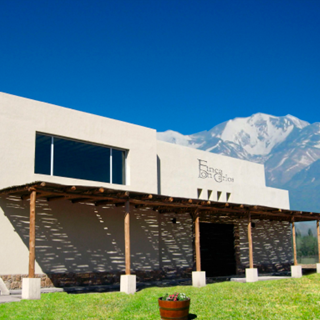 VINÍCOLA DE ALTO PADRÃO À VENDA  EM TUPANGATO