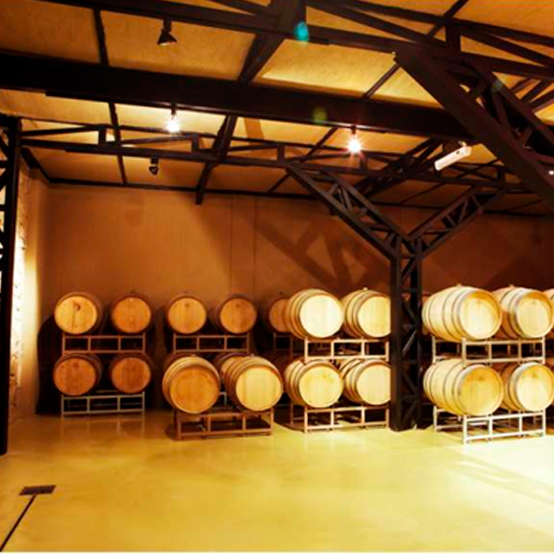 VINÍCOLA DE ALTO PADRÃO À VENDA  EM TUPANGATO