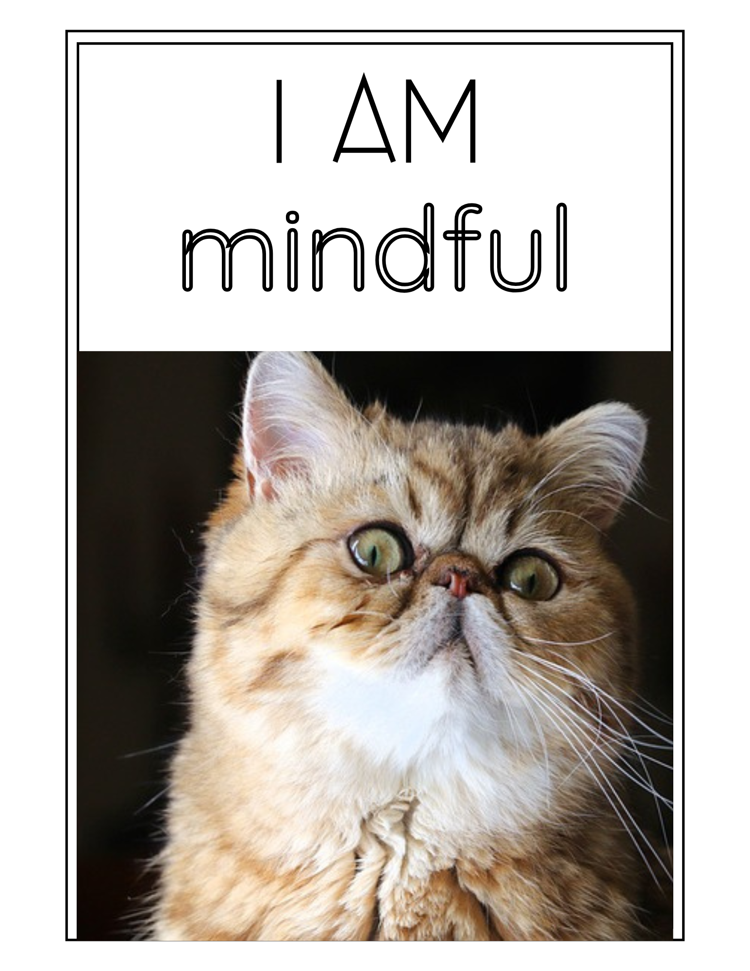 Positive Affirmations