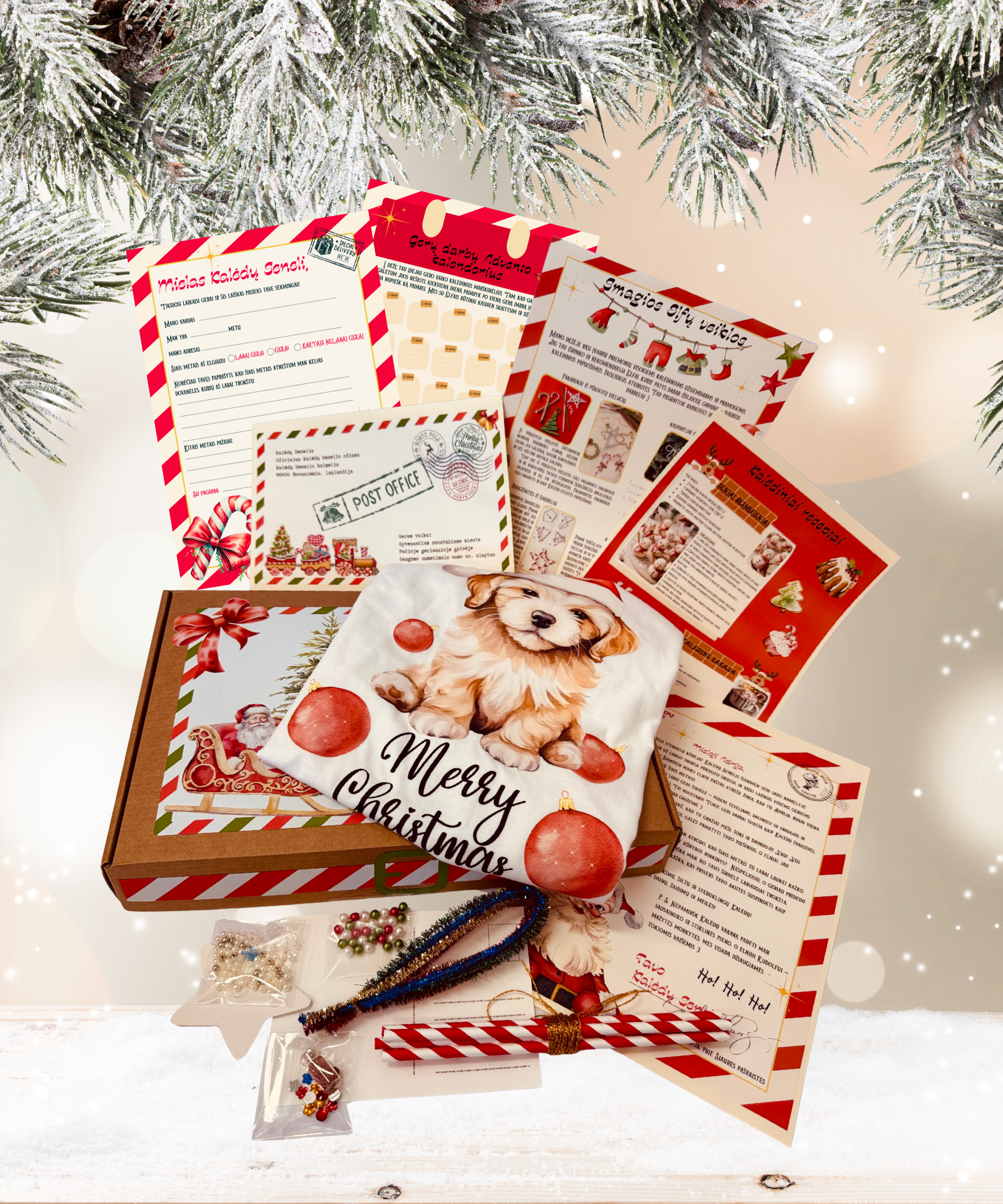 KALĖDŲ SENELIO PAŠTAS. Rinkinys su Kalėdiniais marškinėliais