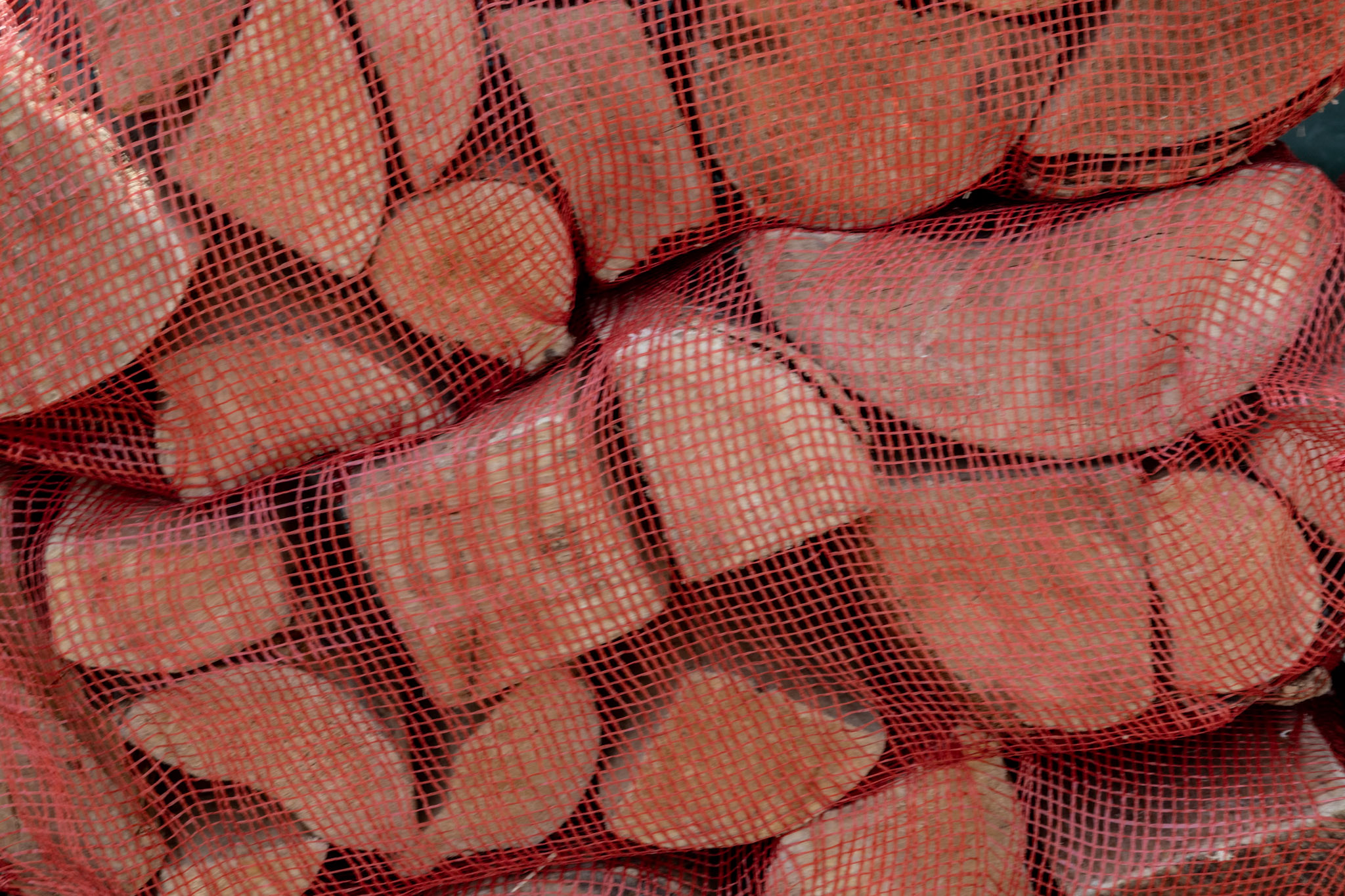 Premium Kiln-Dried Hardwood Logs in Net (x12)
