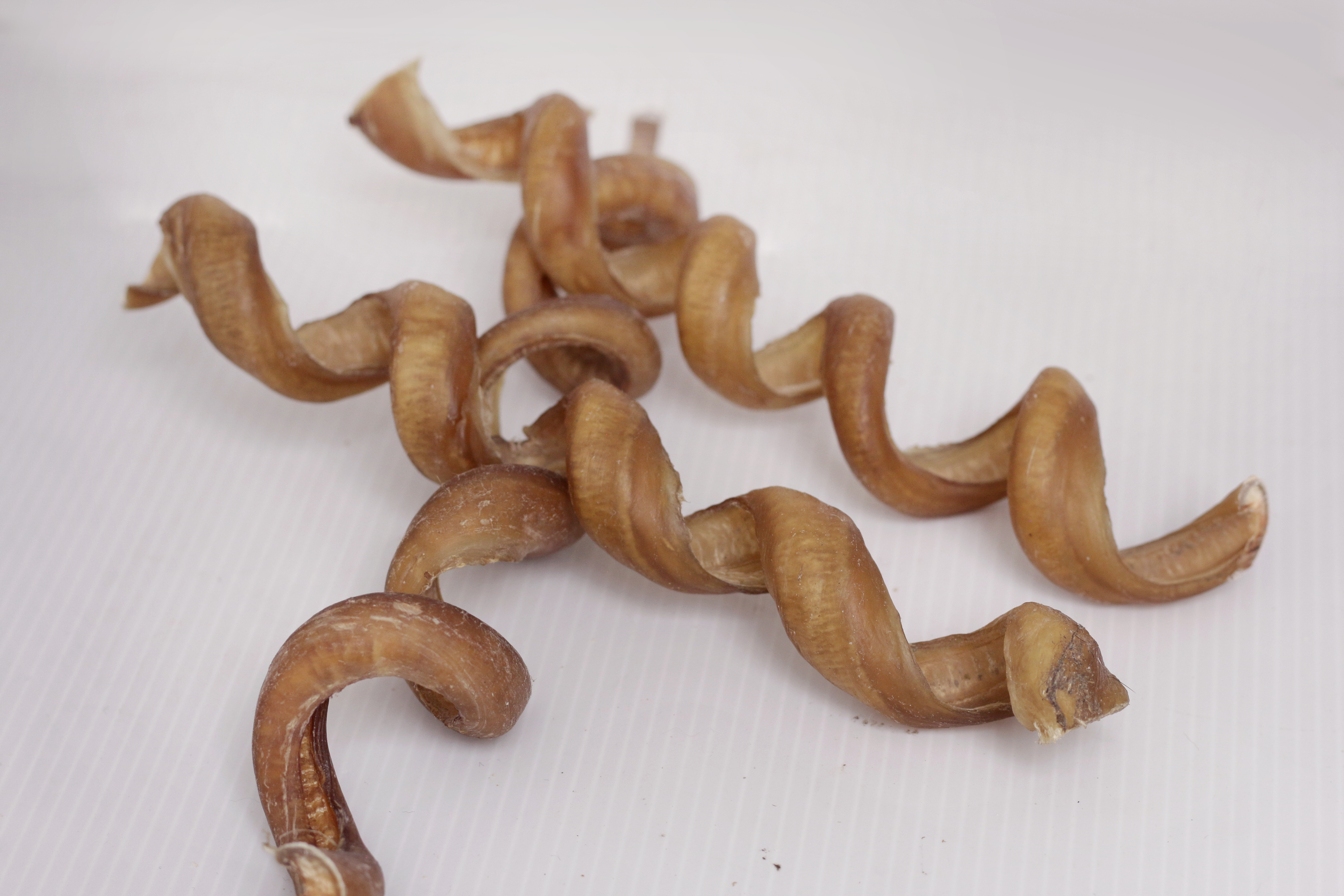 Bully Stick - Curly
