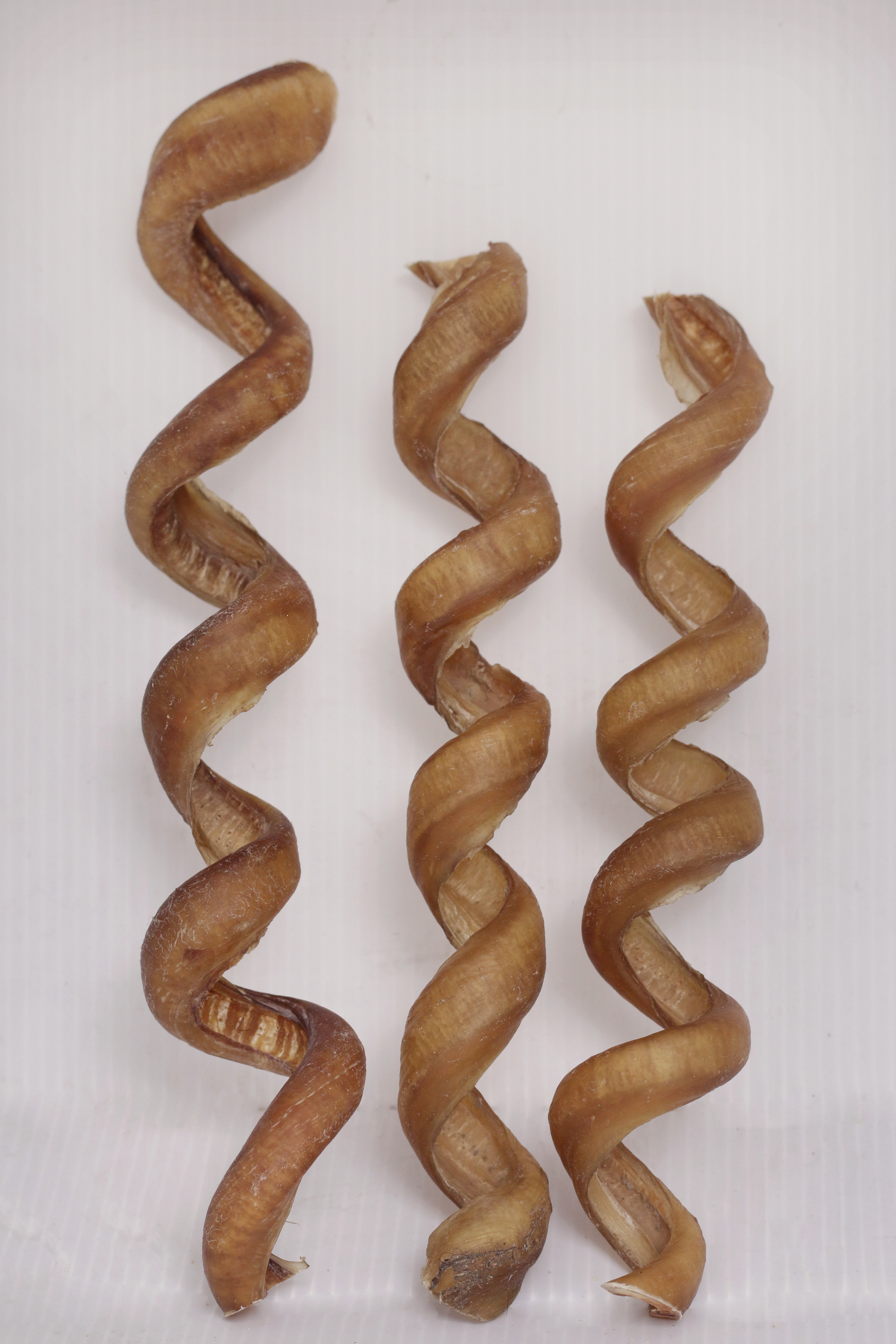 Bully Stick - Curly