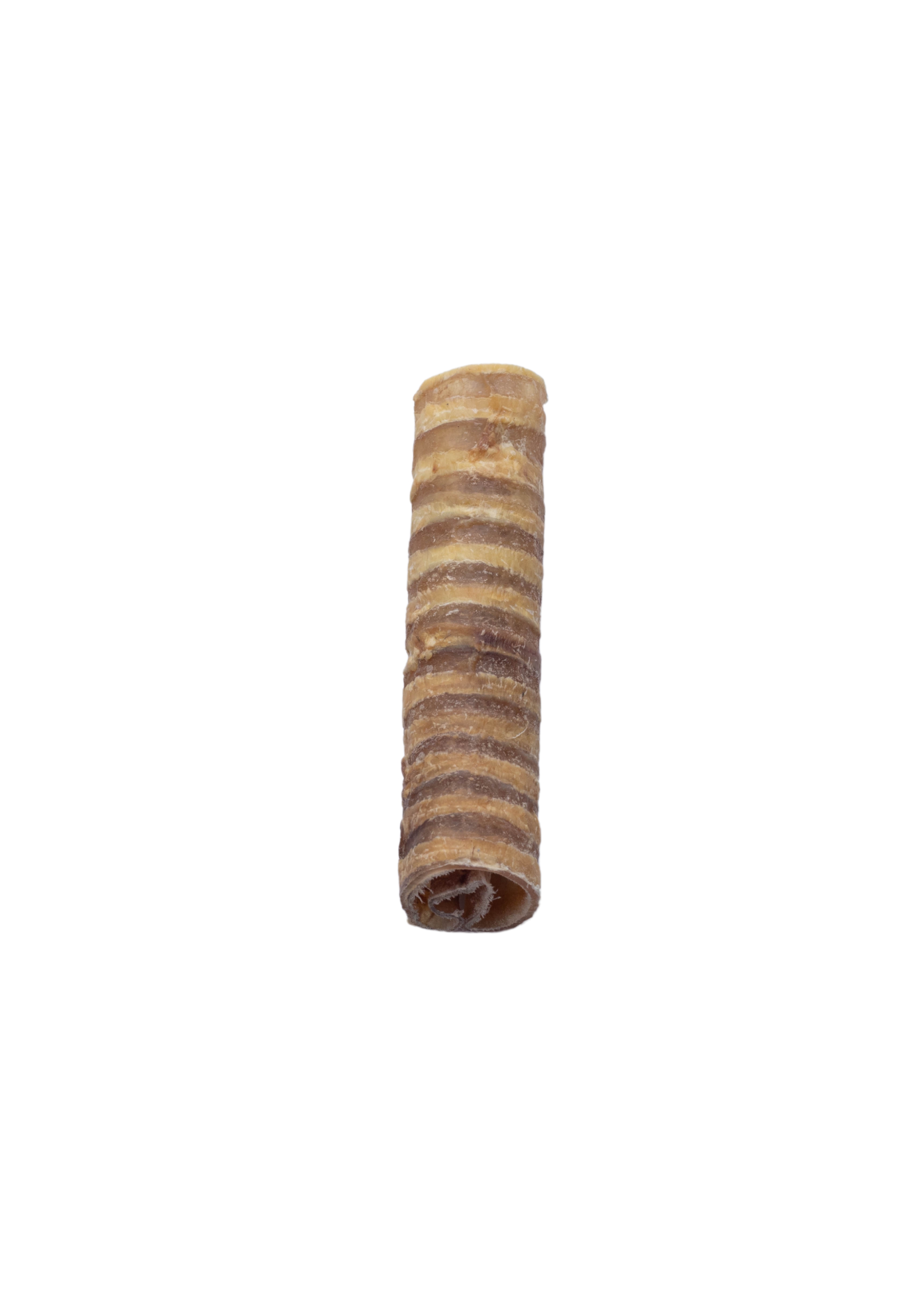 Beef Trachea