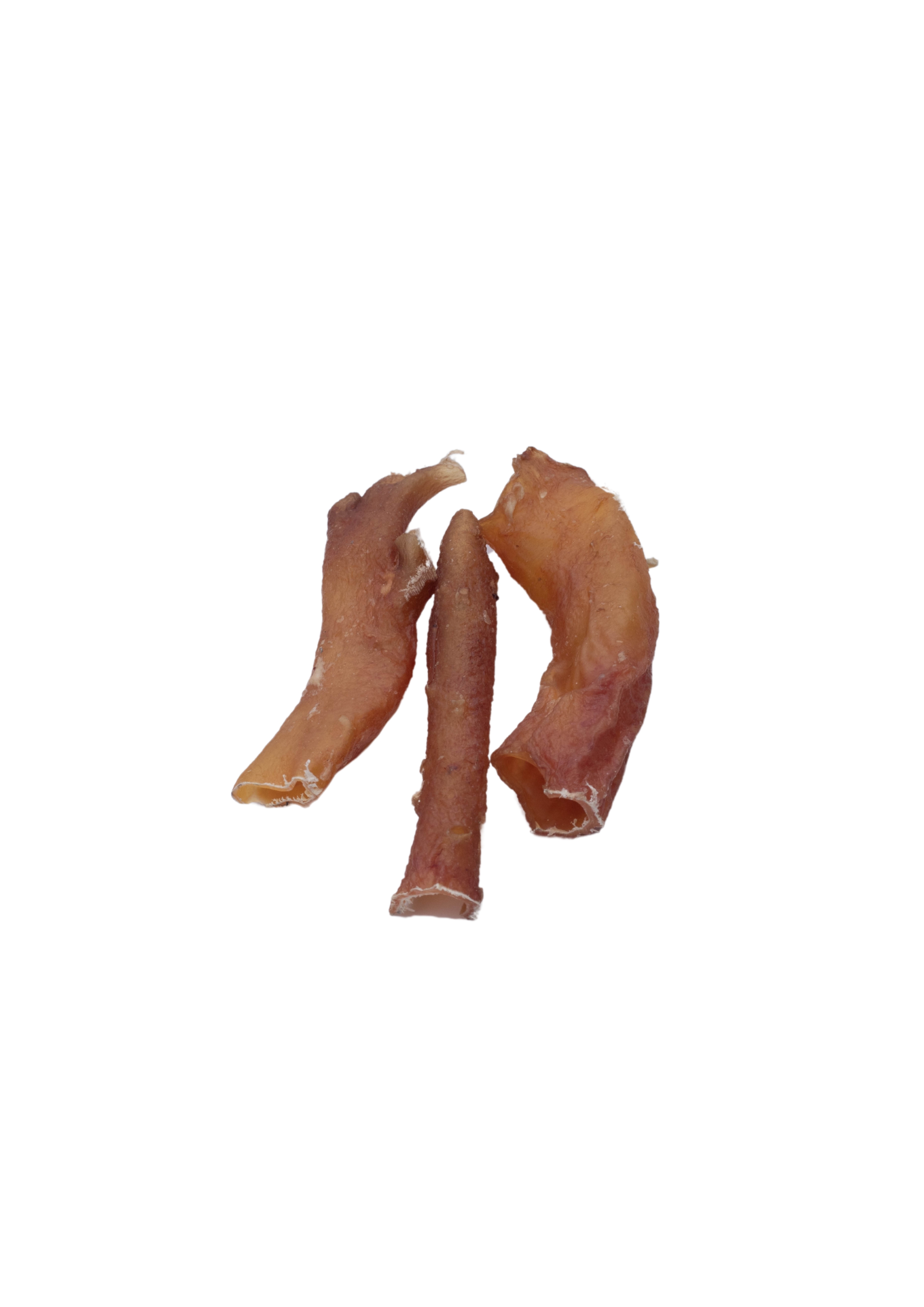 Beef Aorta