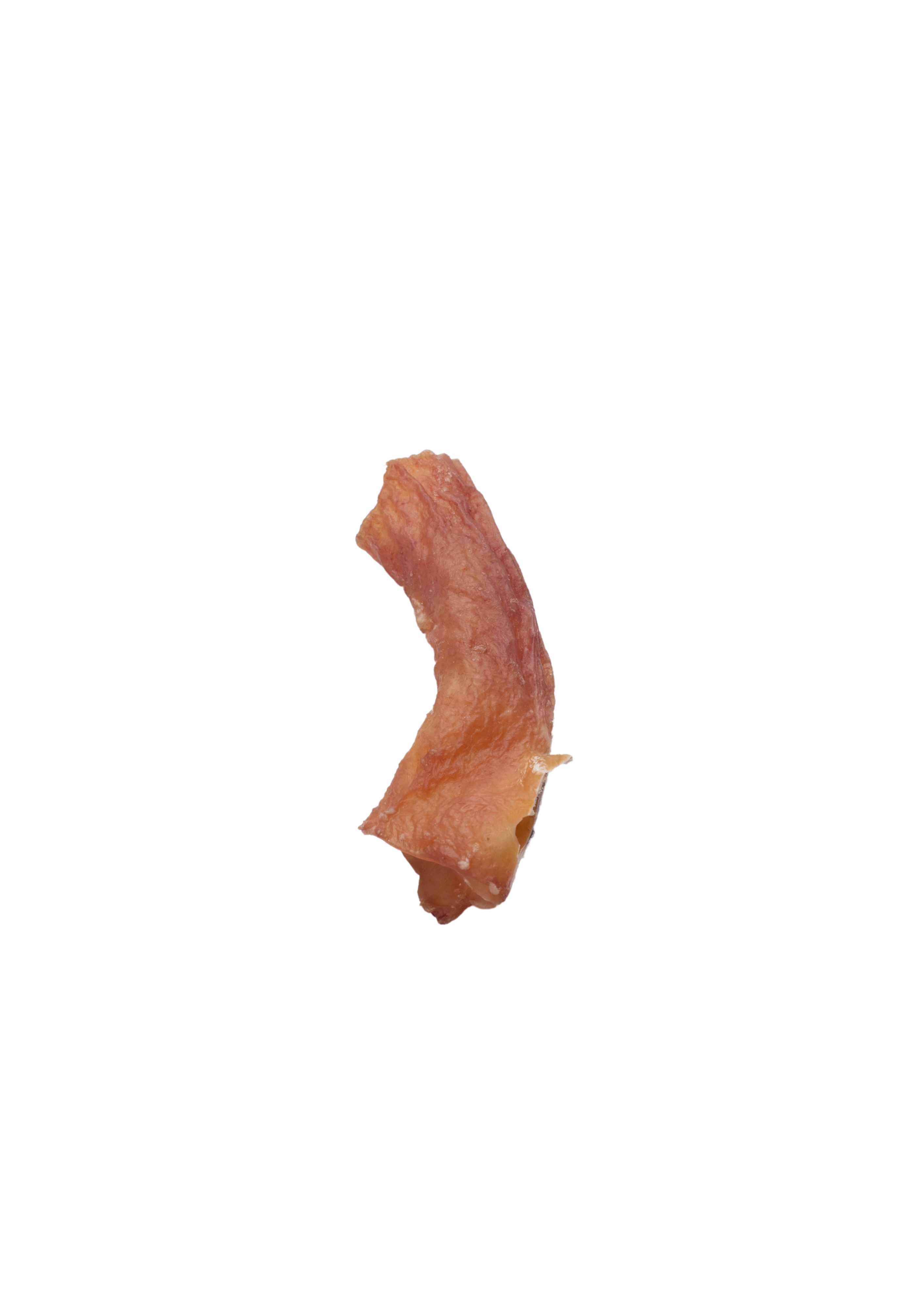 Beef Aorta