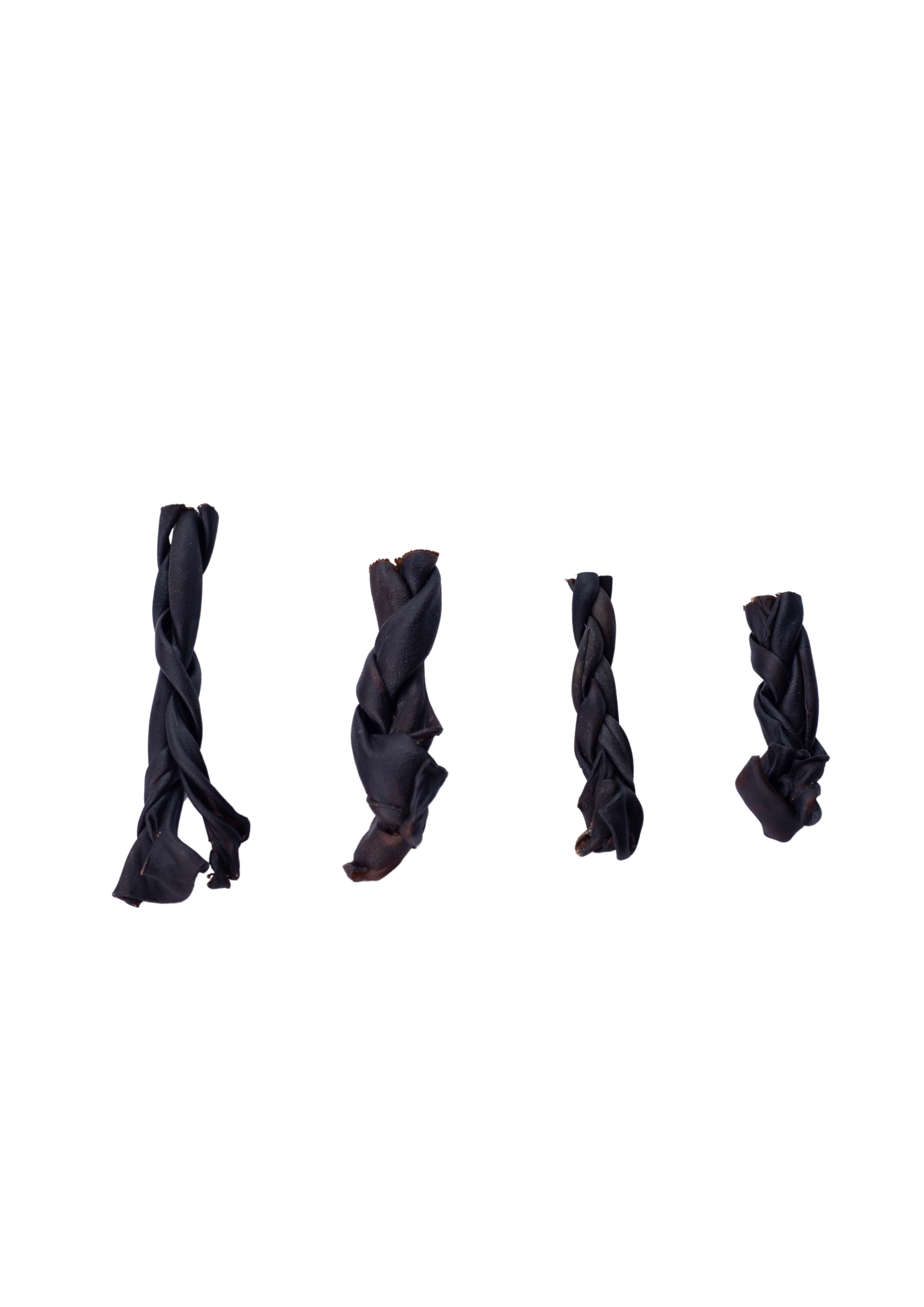 Flipper Bites