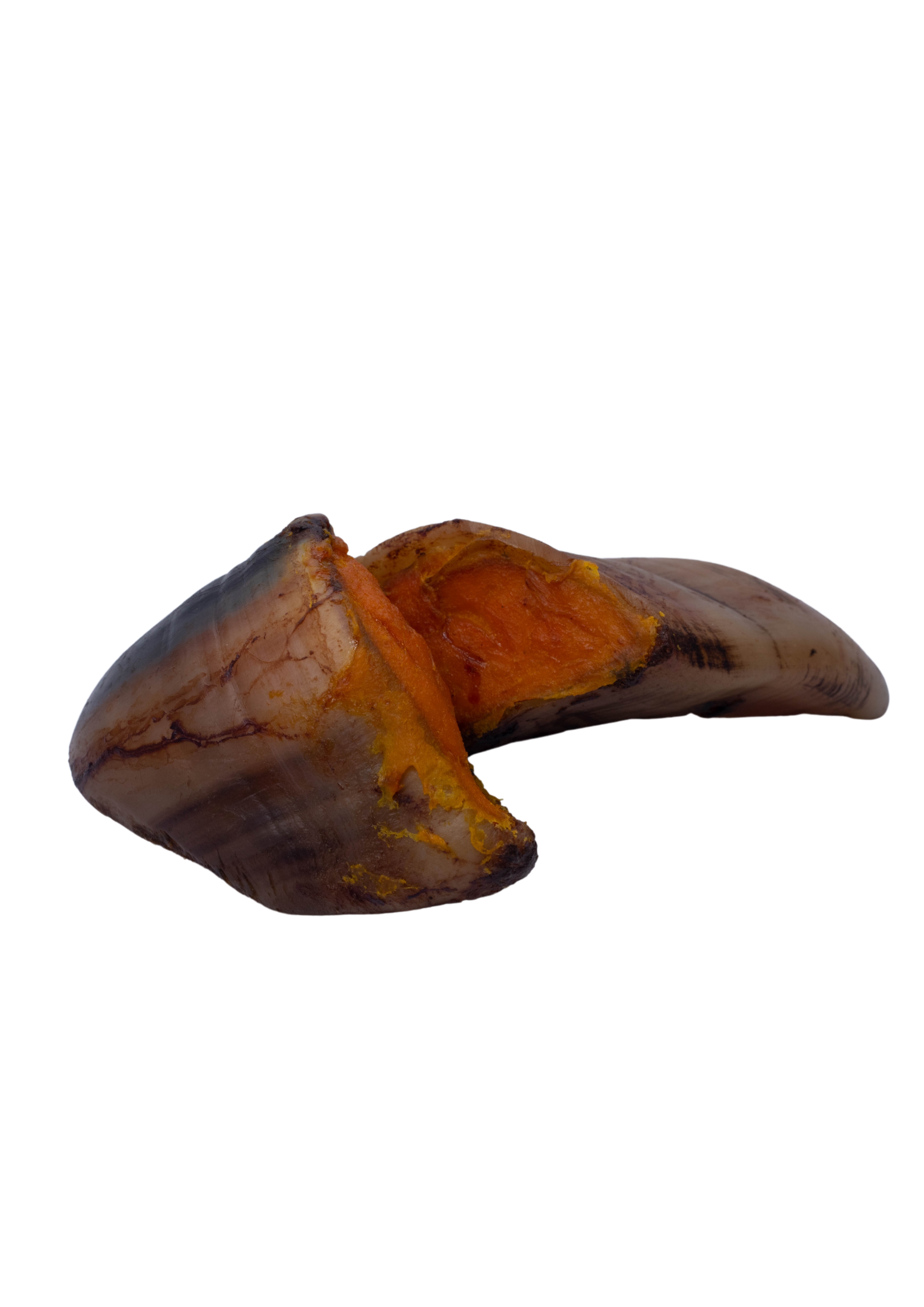 Beef Hooves stuffed with chicken breast 