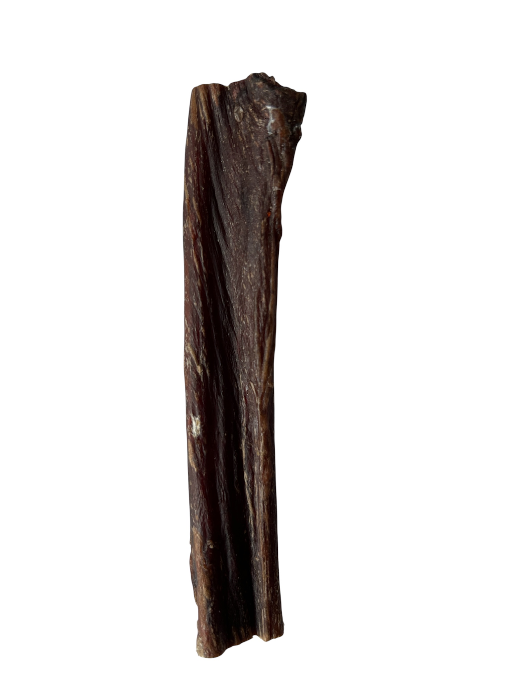 Camel Esophagus