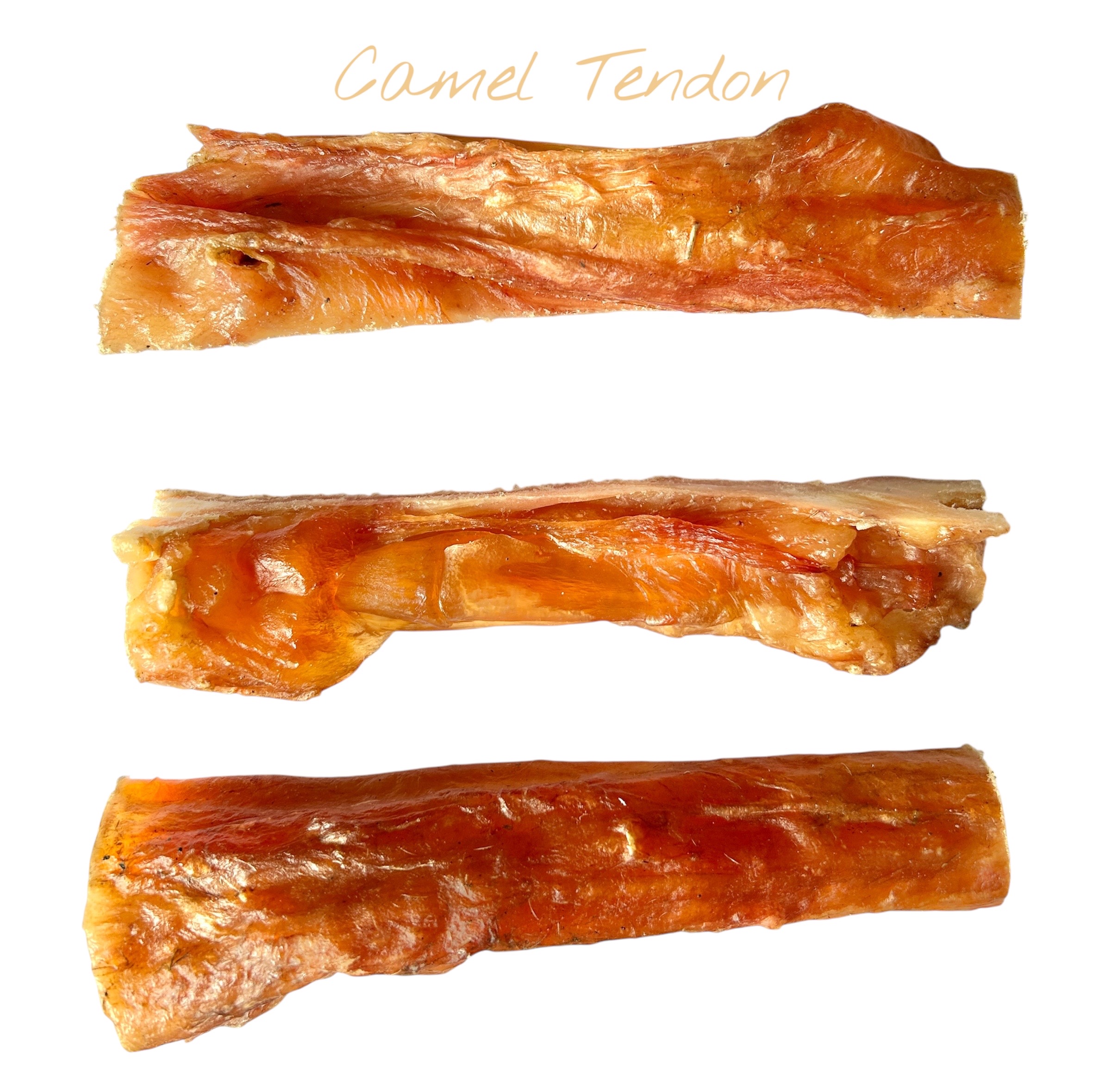 Camel Tendon
