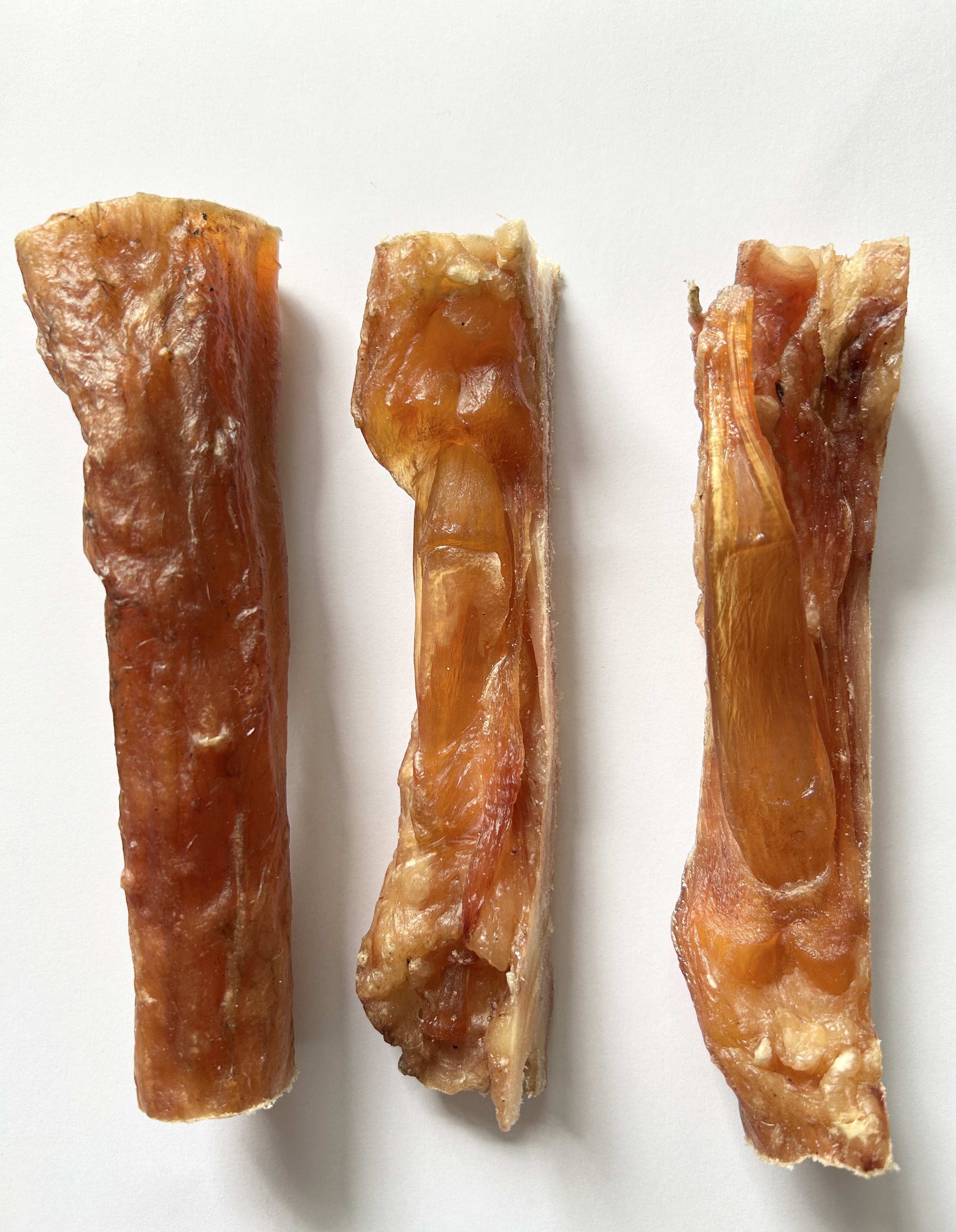 Camel Tendon