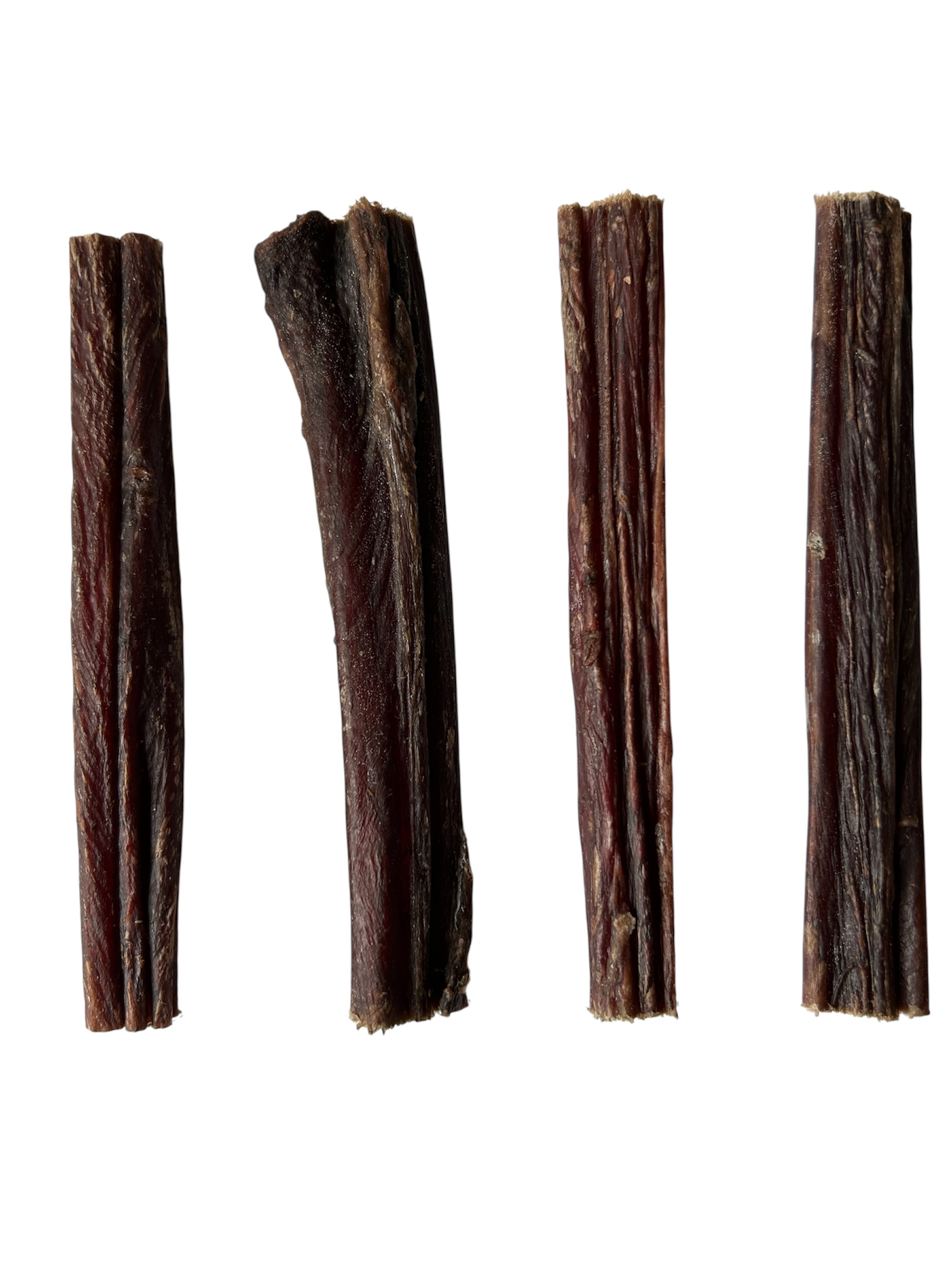 Camel Esophagus