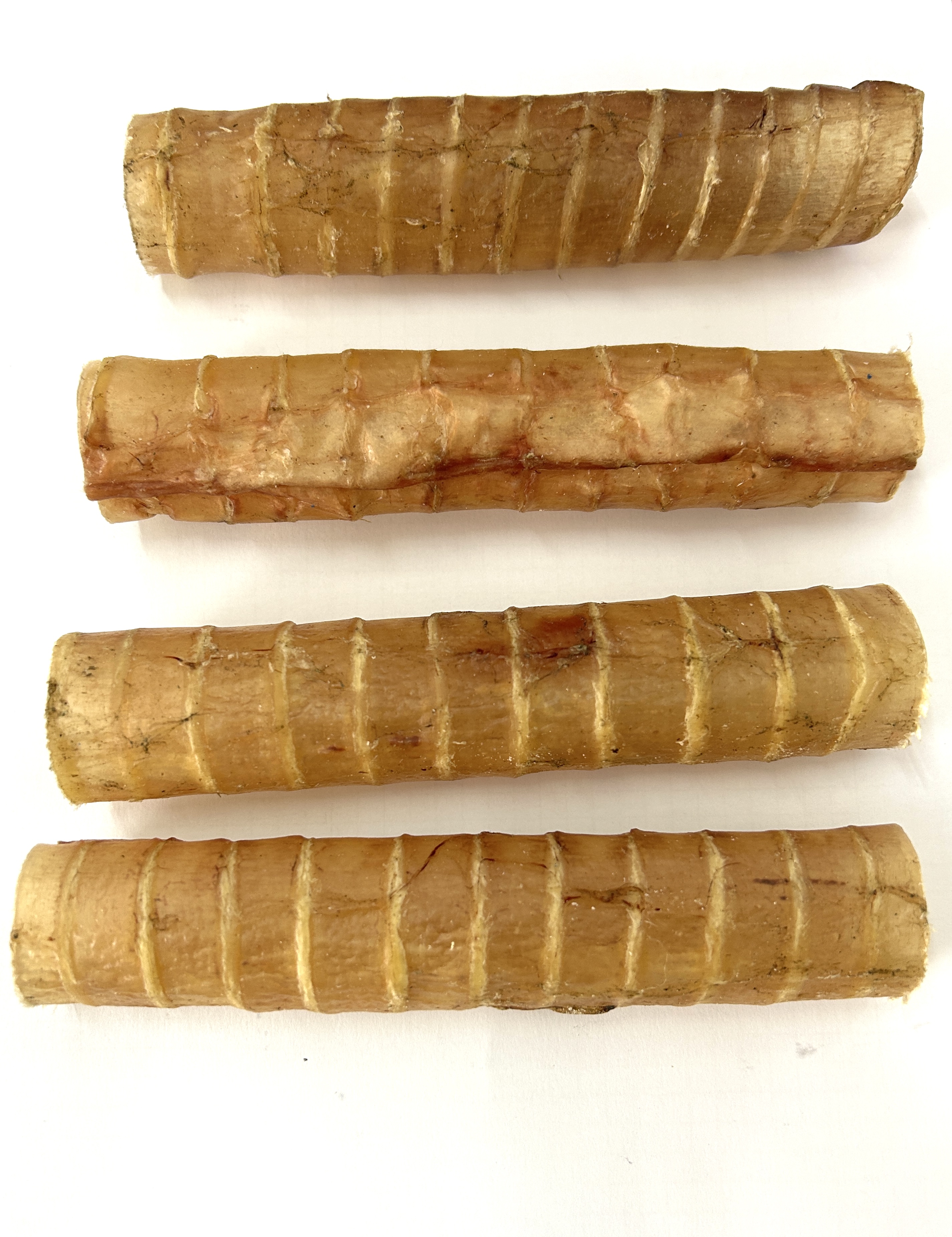 Camel Trachea