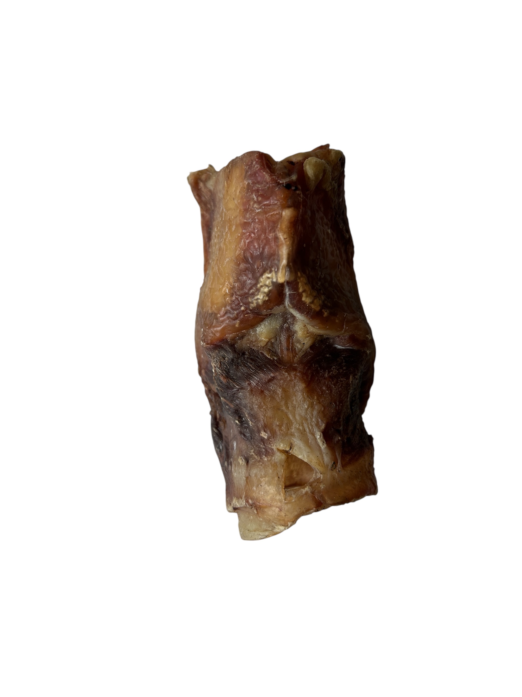 Camel Larynx