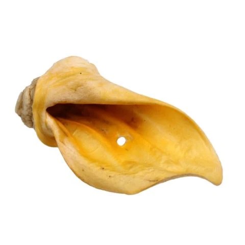 Beef Ears