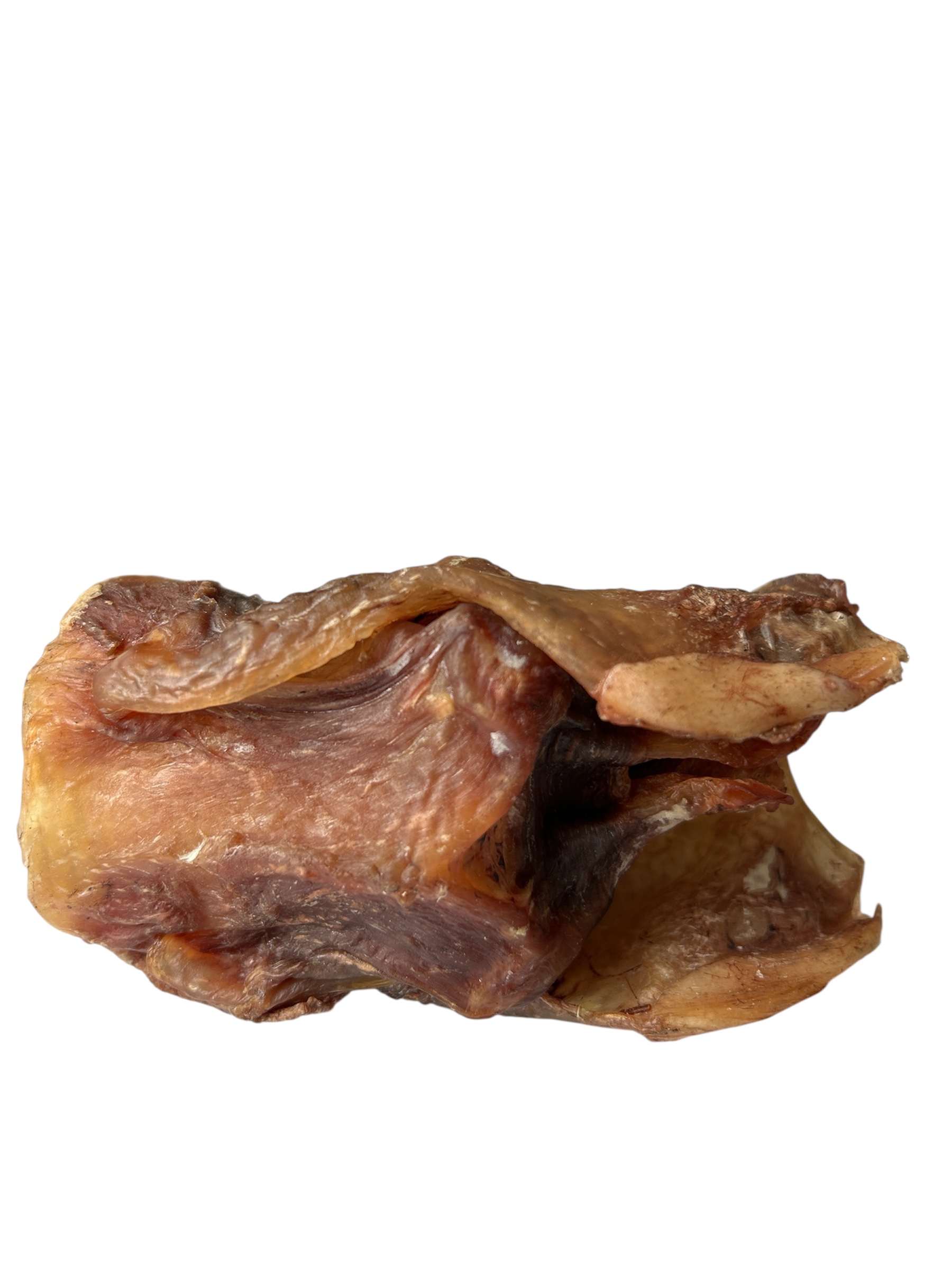 Camel Larynx
