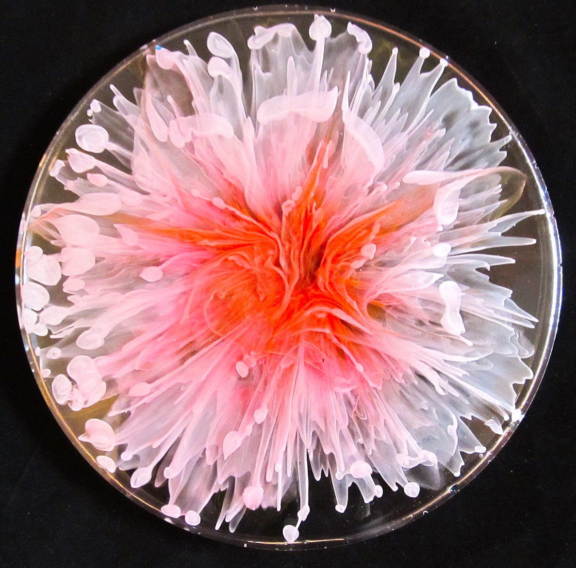 3D RESIN BLOOM