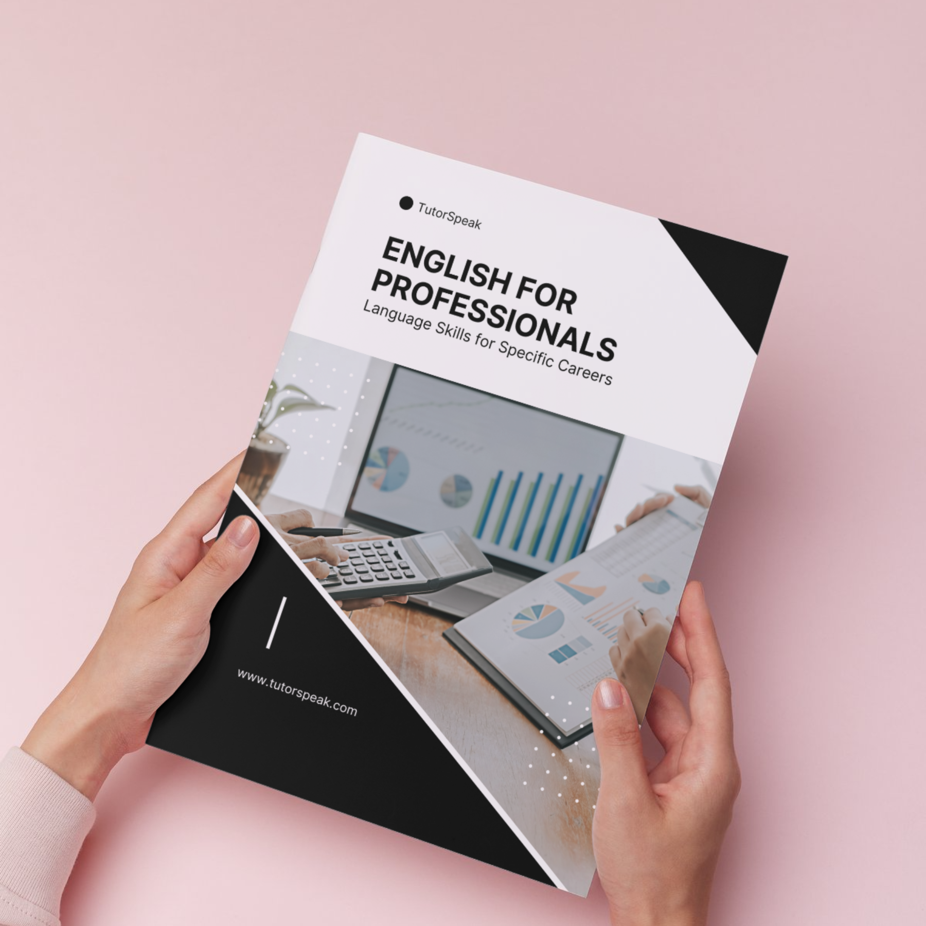 English for Professionals