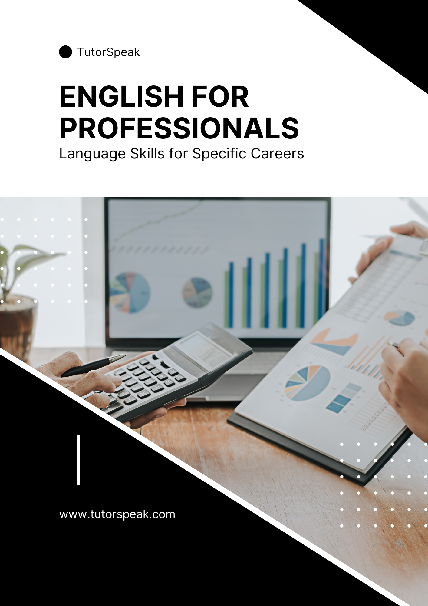 English for Professionals