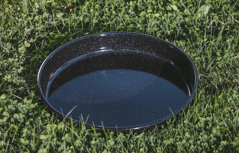 Artisanal STAINLESS STEEL Peka Barbecue (included: 1 "bell" + 1 enamelled dish)