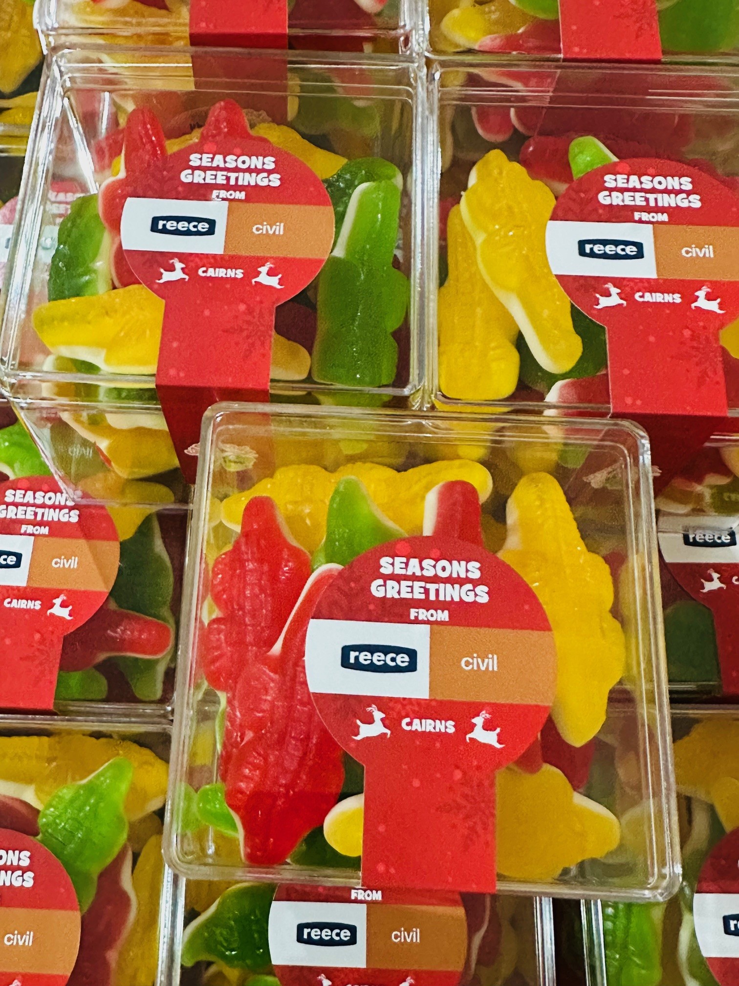 Mini Crocodile Cube - Gluten Free