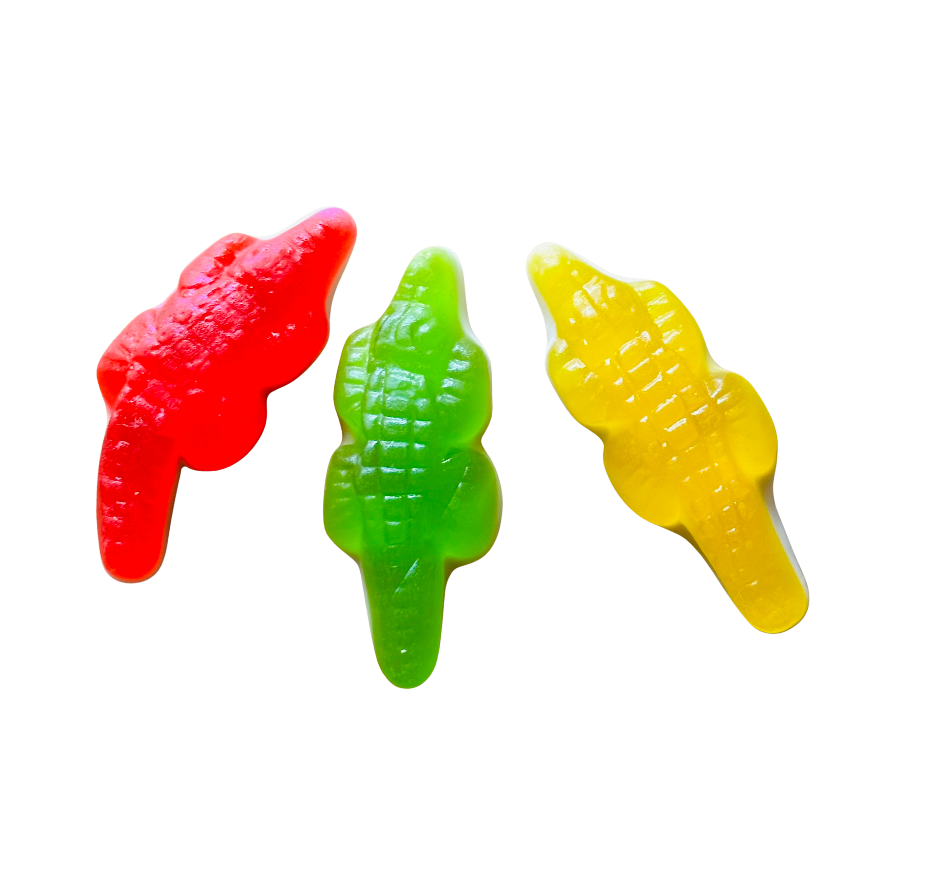 Mini Crocodile Cube - Gluten Free