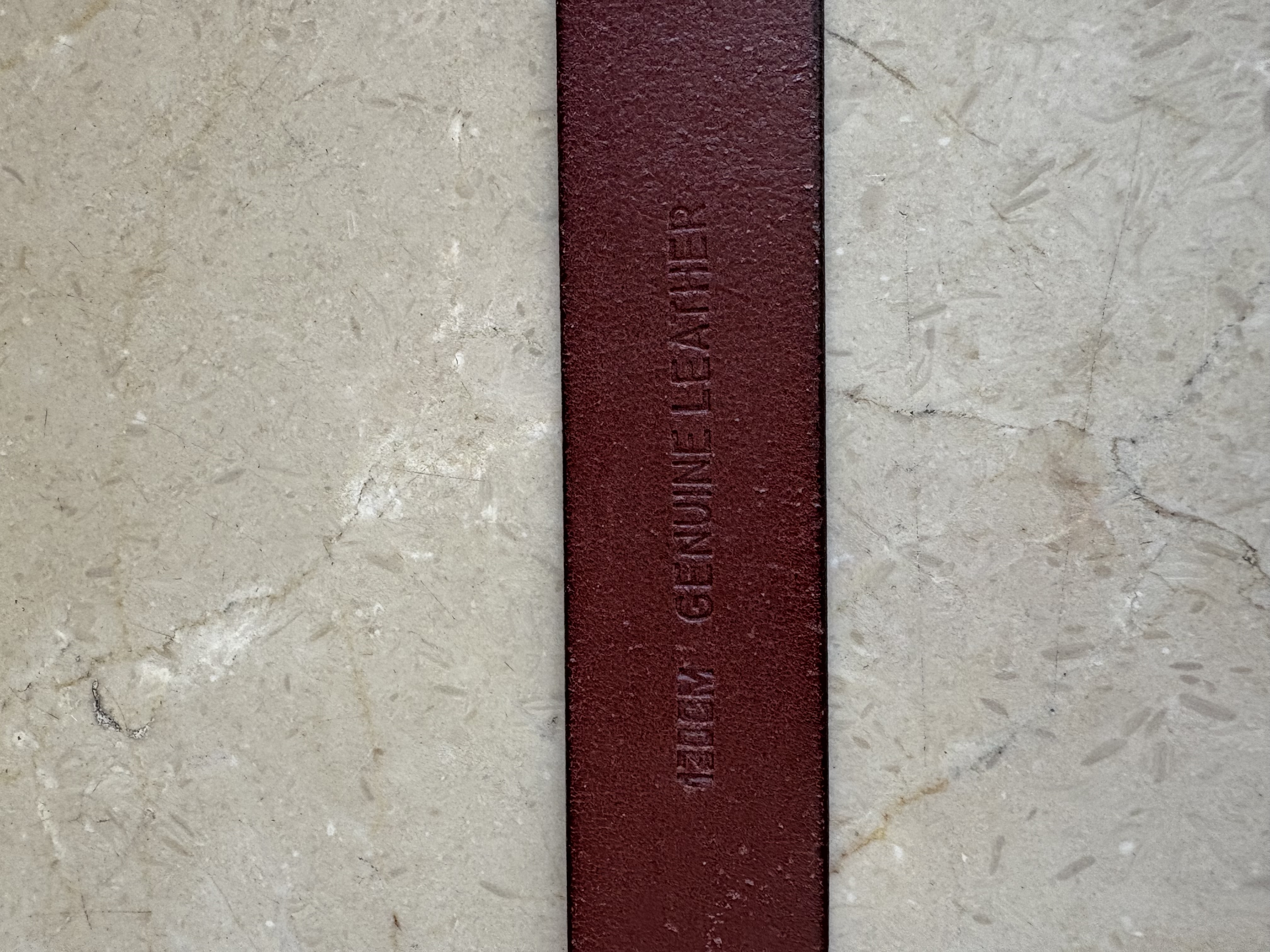 C00410NM CINTURON PIEL  