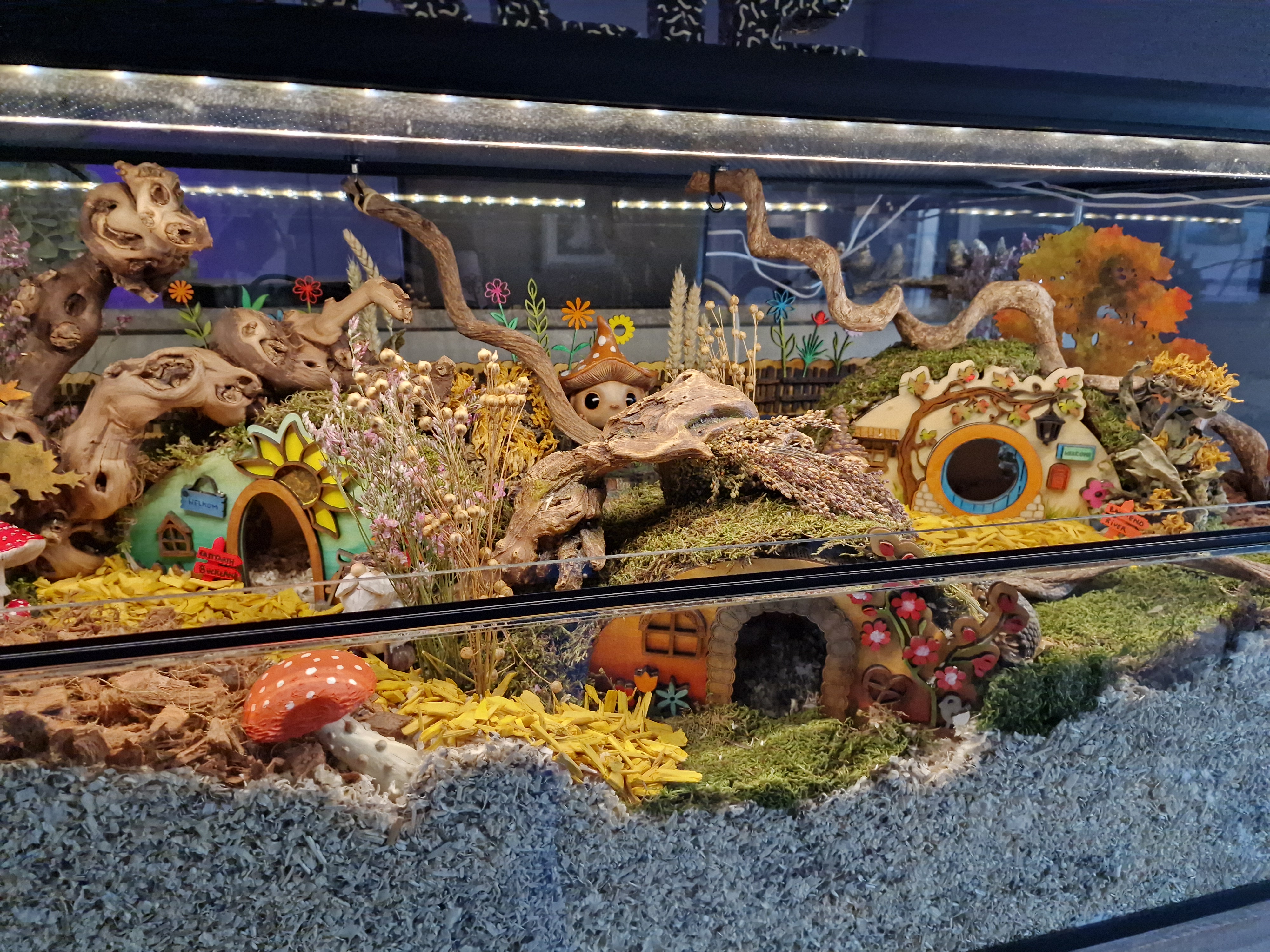 Set van 3 hobbithuisjes 