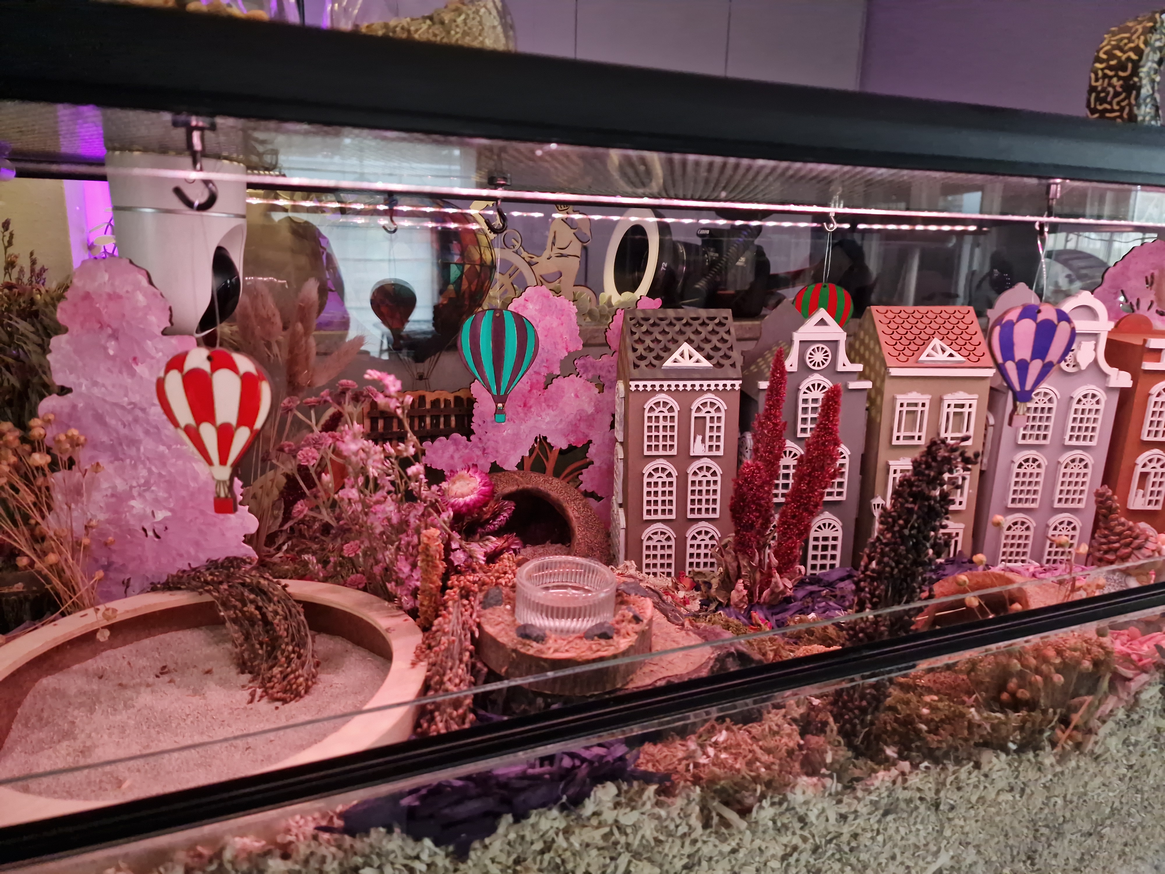 Set van 2 luchtballonnen 