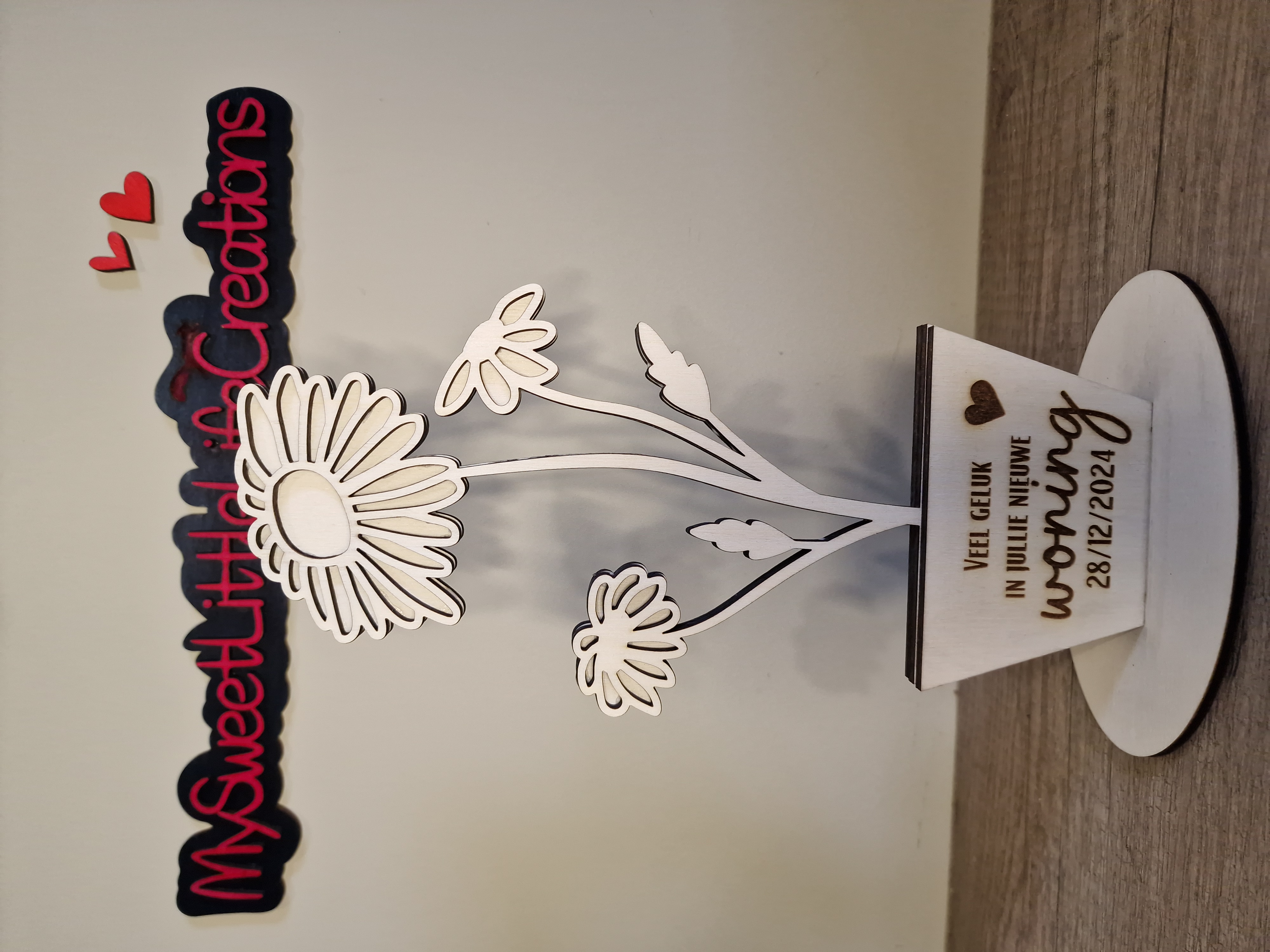 Nieuwe woning bloempotje